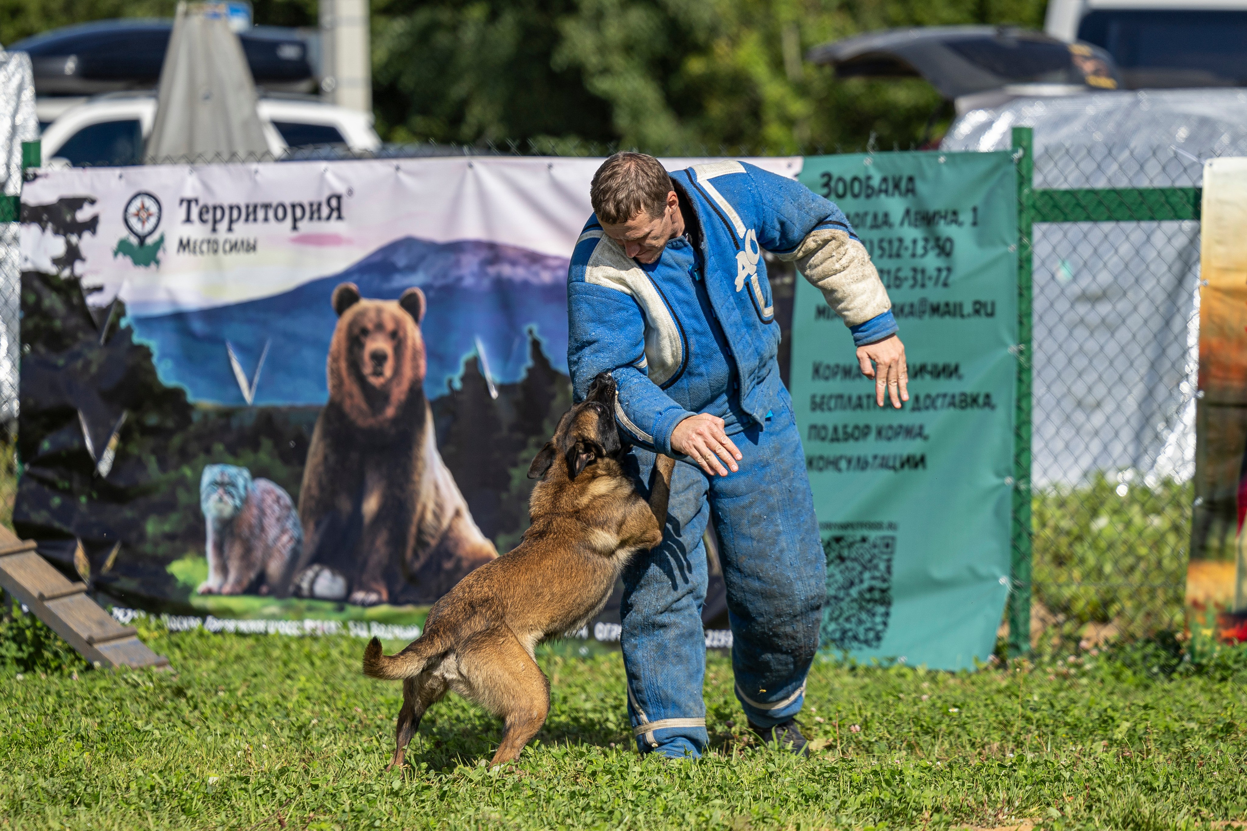 Соревнования по Мондьорингу г. Вологда 10-11.08.2024. Фотограф-анималист Анна Маринич