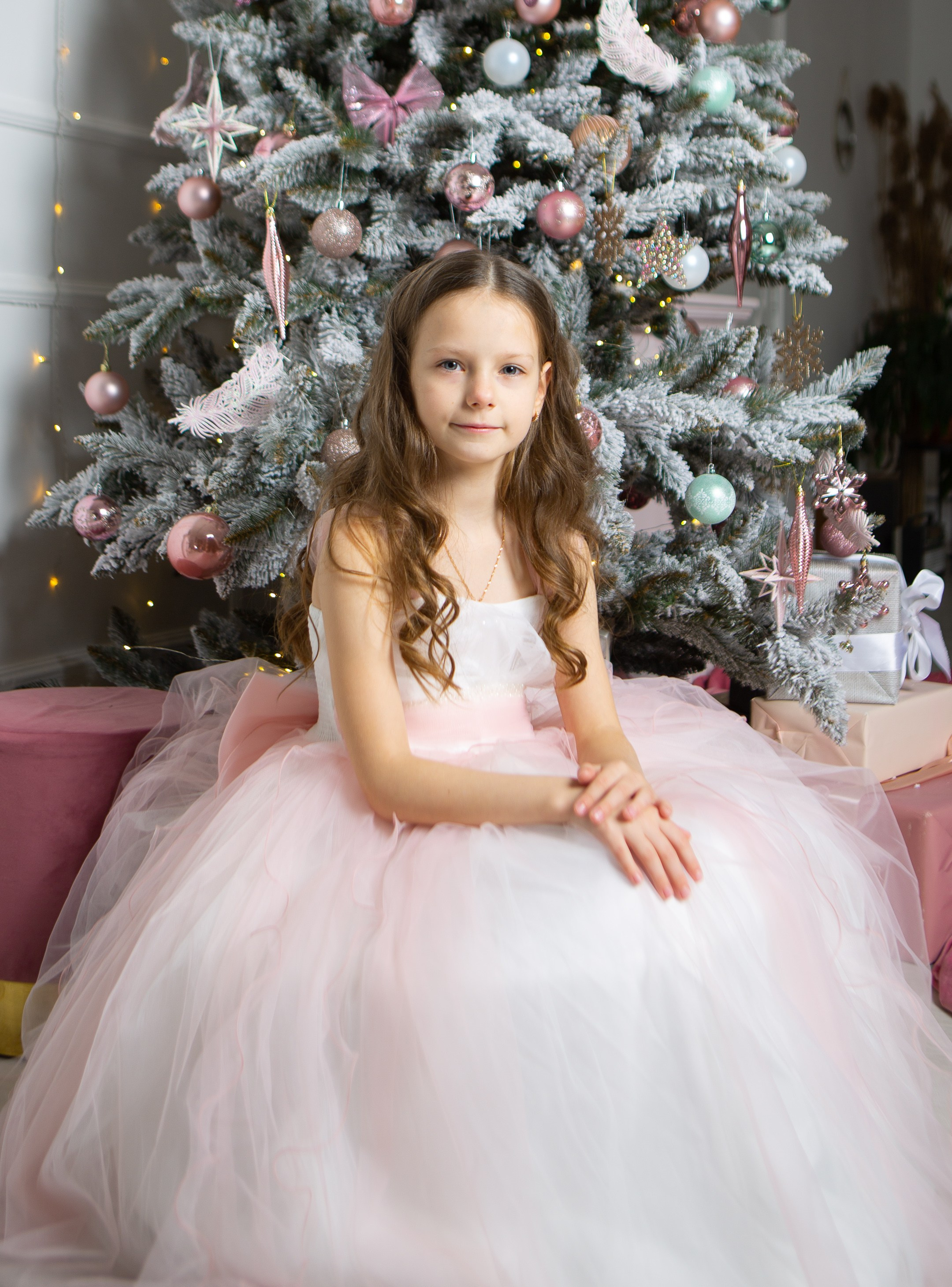 Декабрь 2023. Фотограф Тверь|Москва|Волоколамск| Отт Кристина