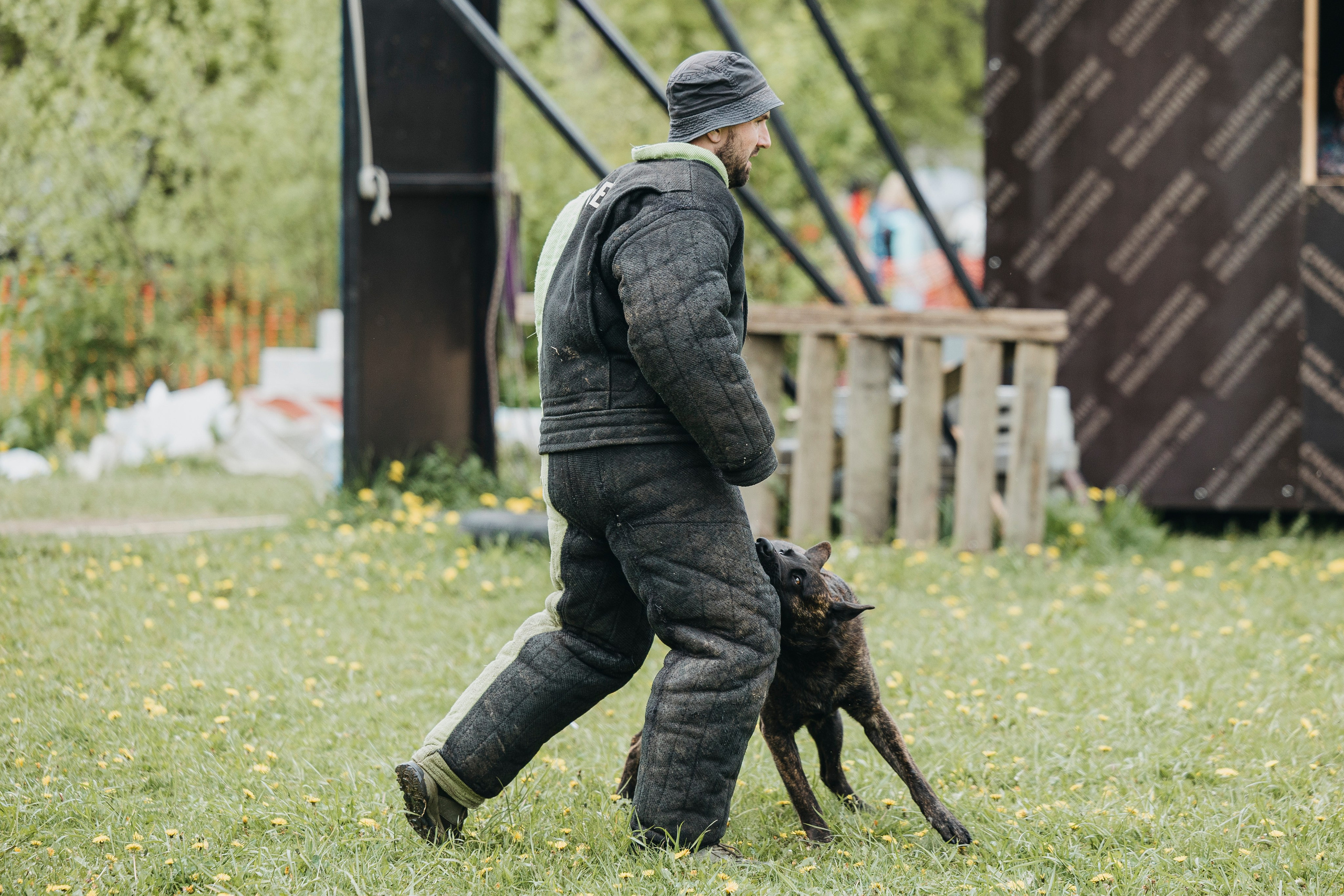 26.05.25 г. Пушкин квалификационные соревнования. Фотограф-анималист Анна Маринич