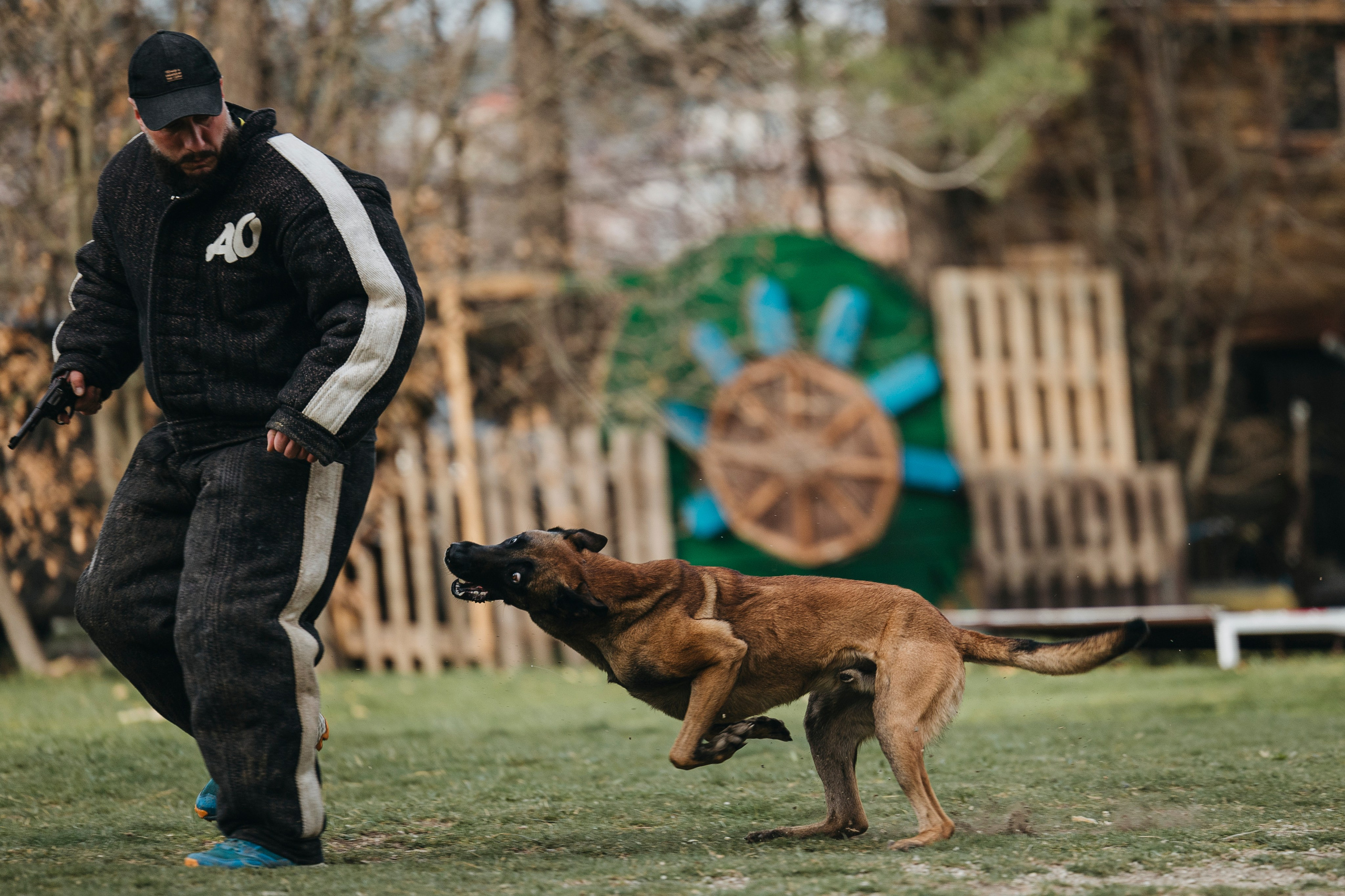 Геленджик Мондьоринг. Фотограф-анималист Анна Маринич