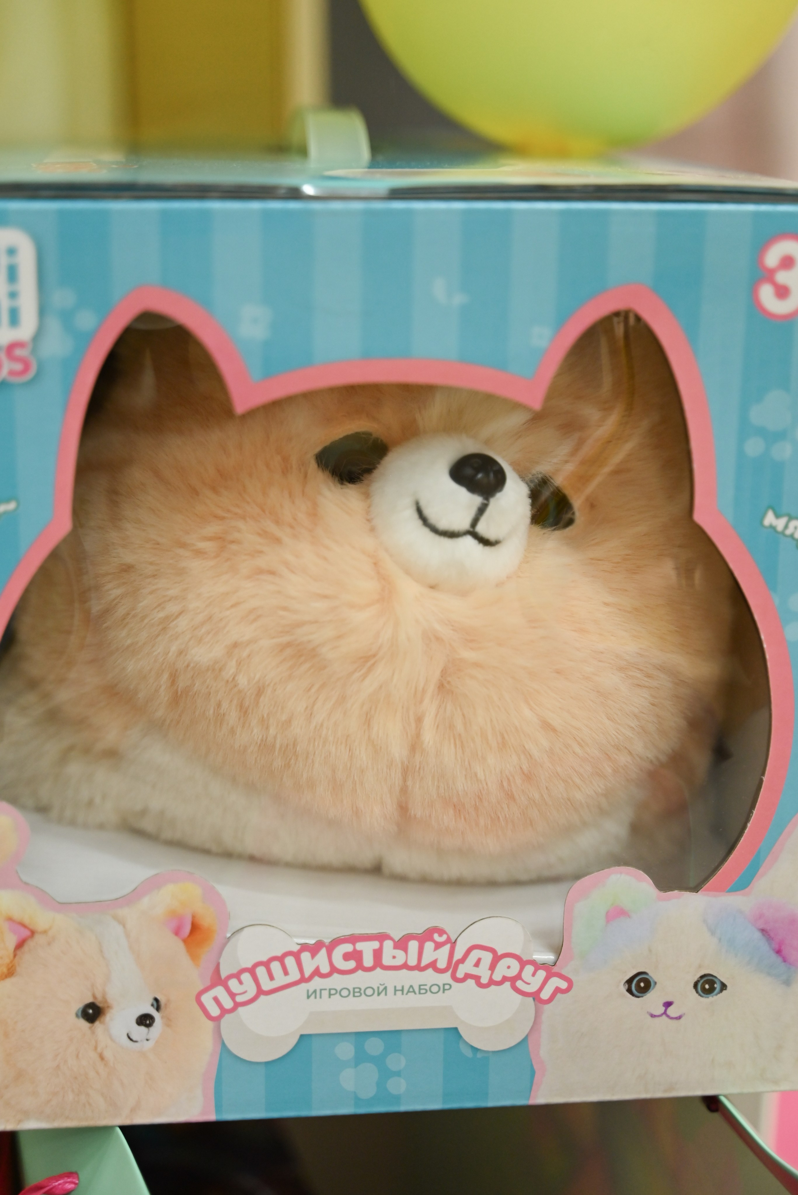 «День варенья Авроры». Свадебный и семейный фотограф в Уфе Александров Максим