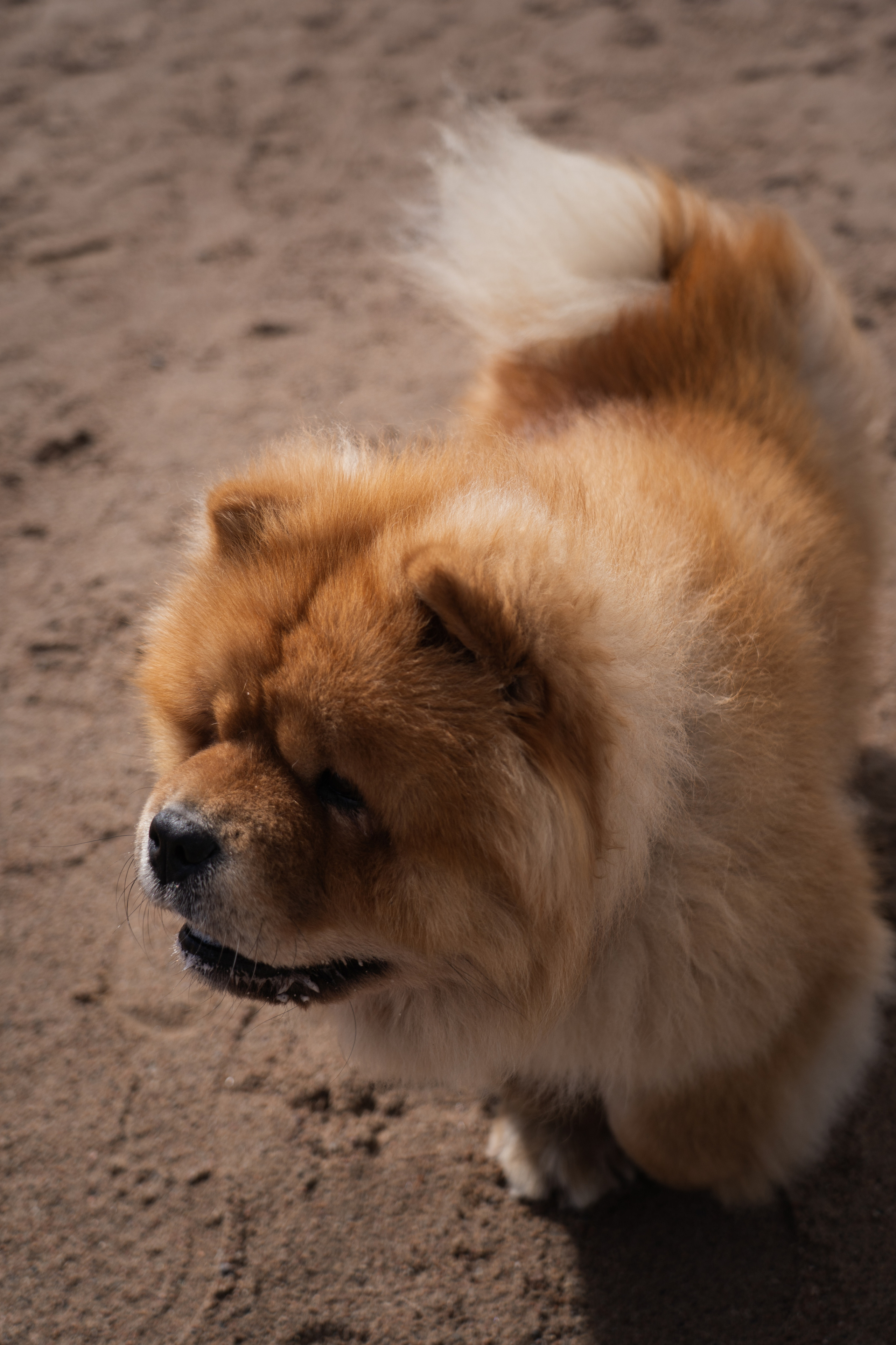 Фотограф-эстет