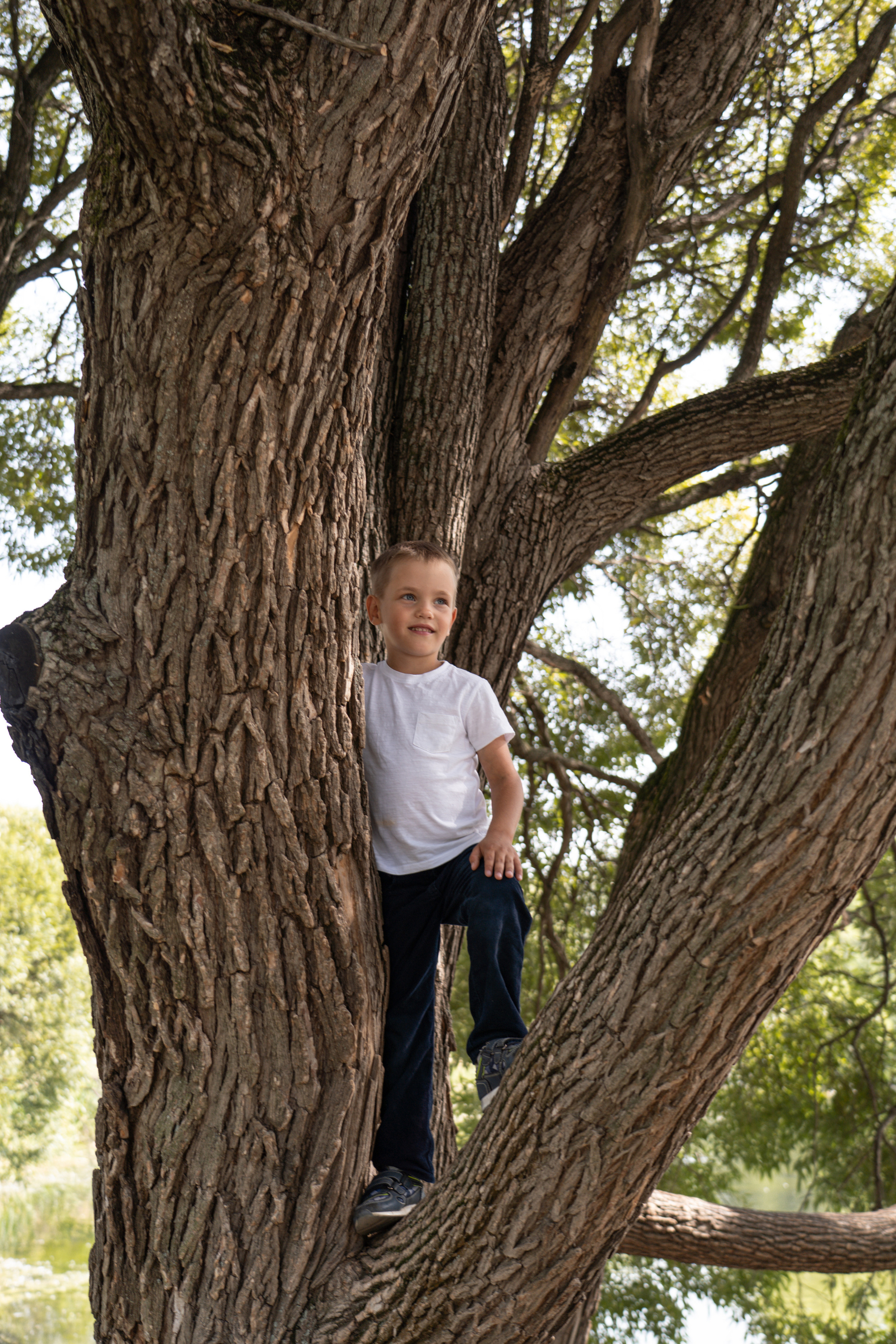 Фотограф-эстет