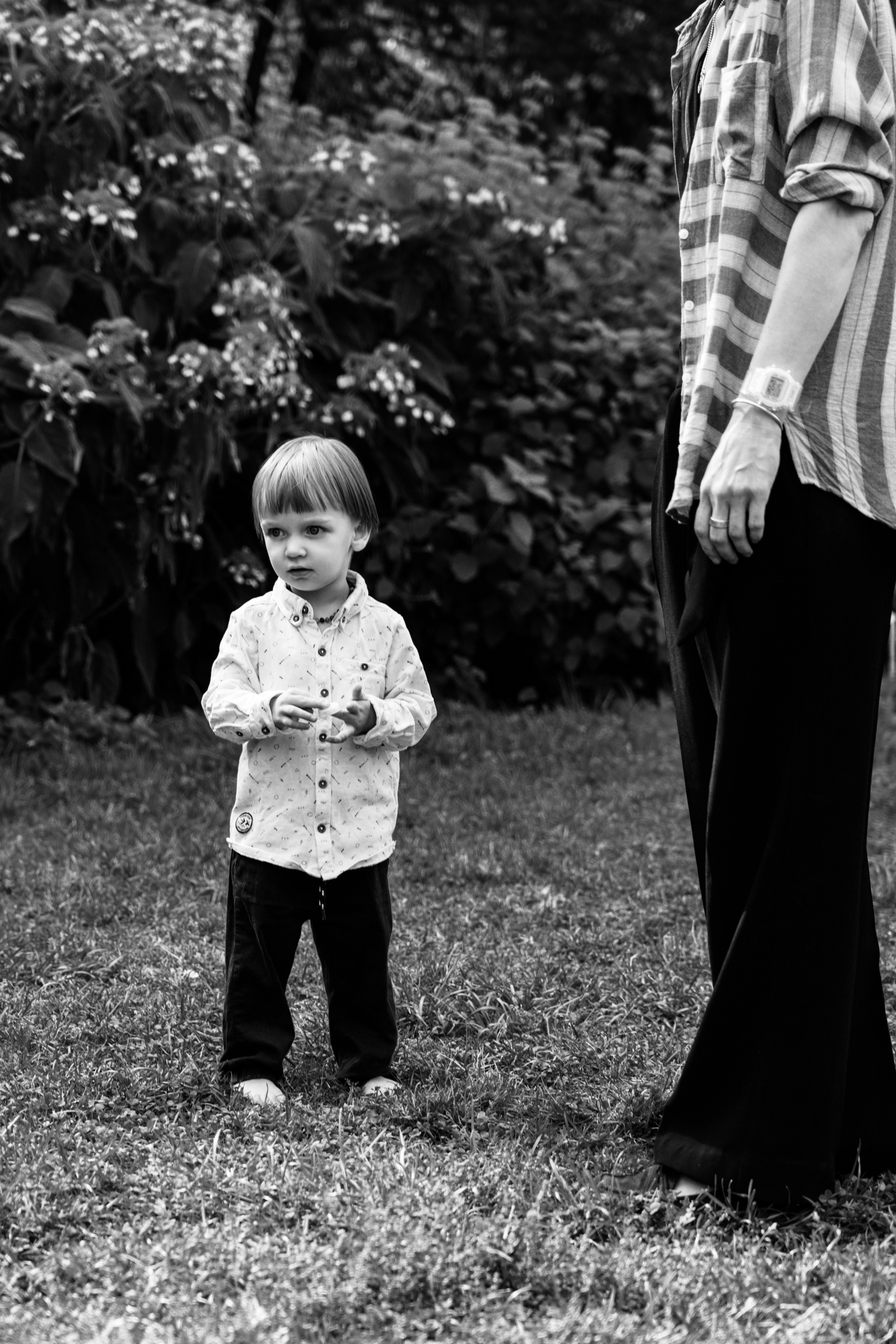 Фотограф-эстет