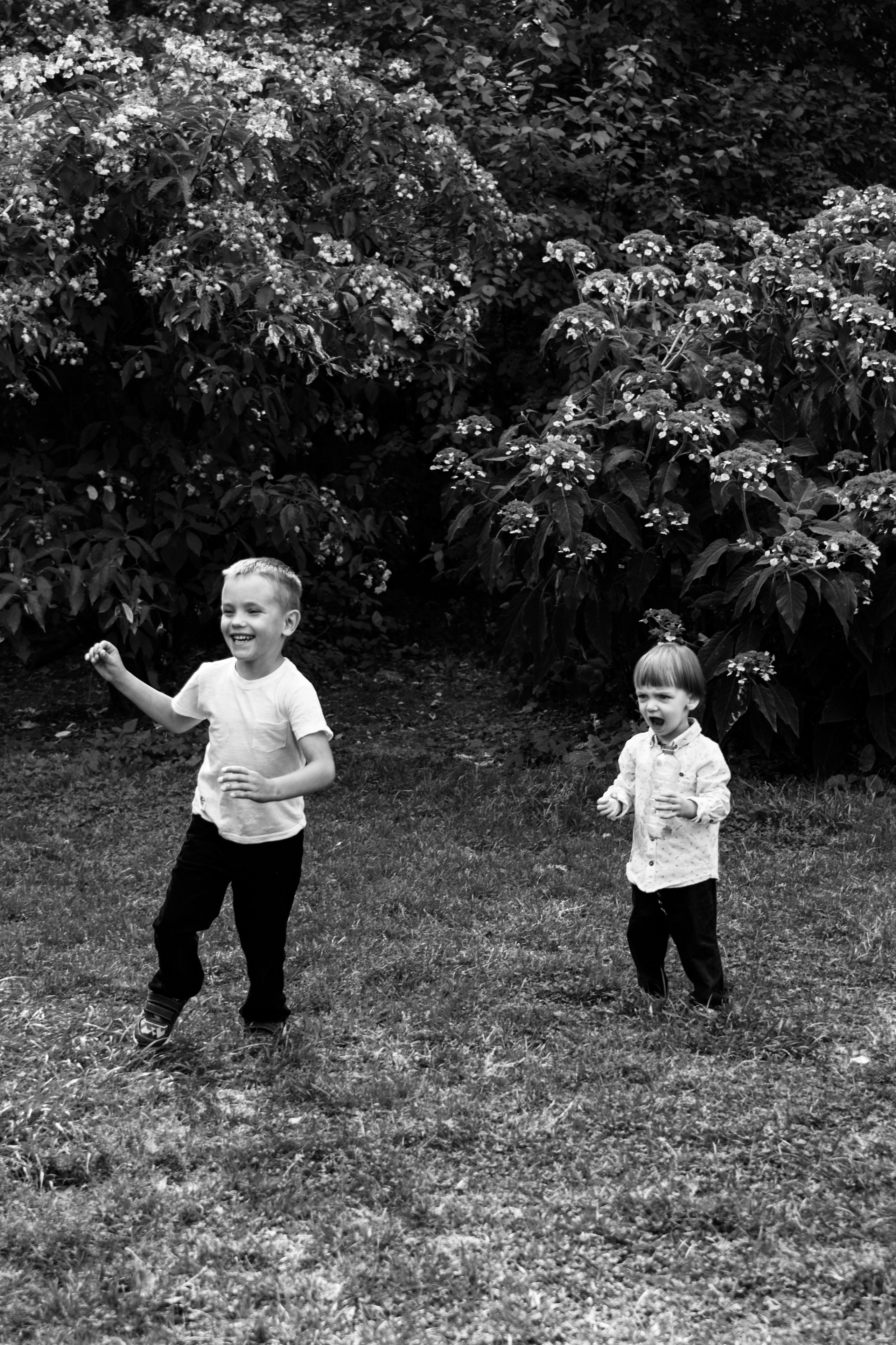 Фотограф-эстет