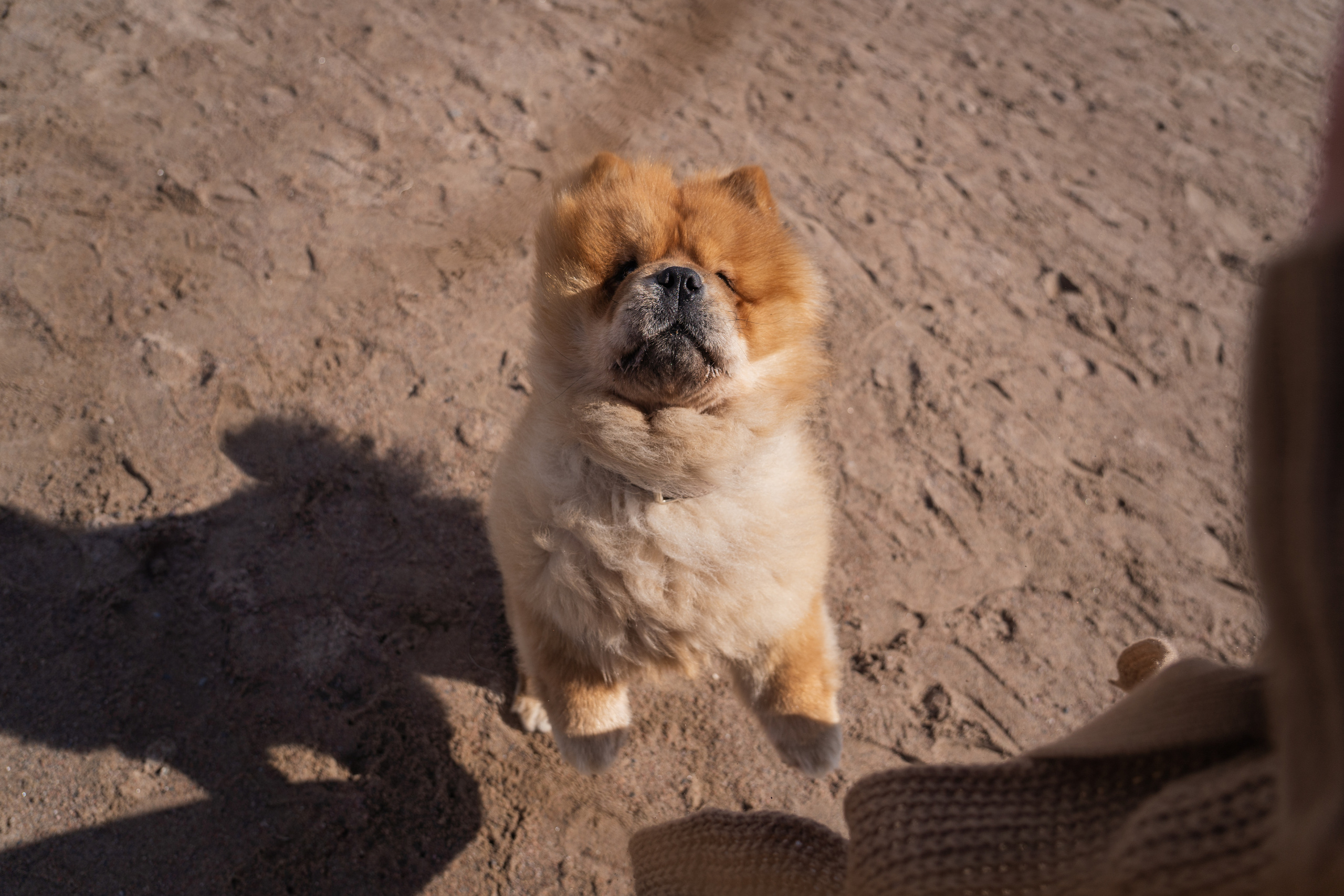 Фотограф-эстет