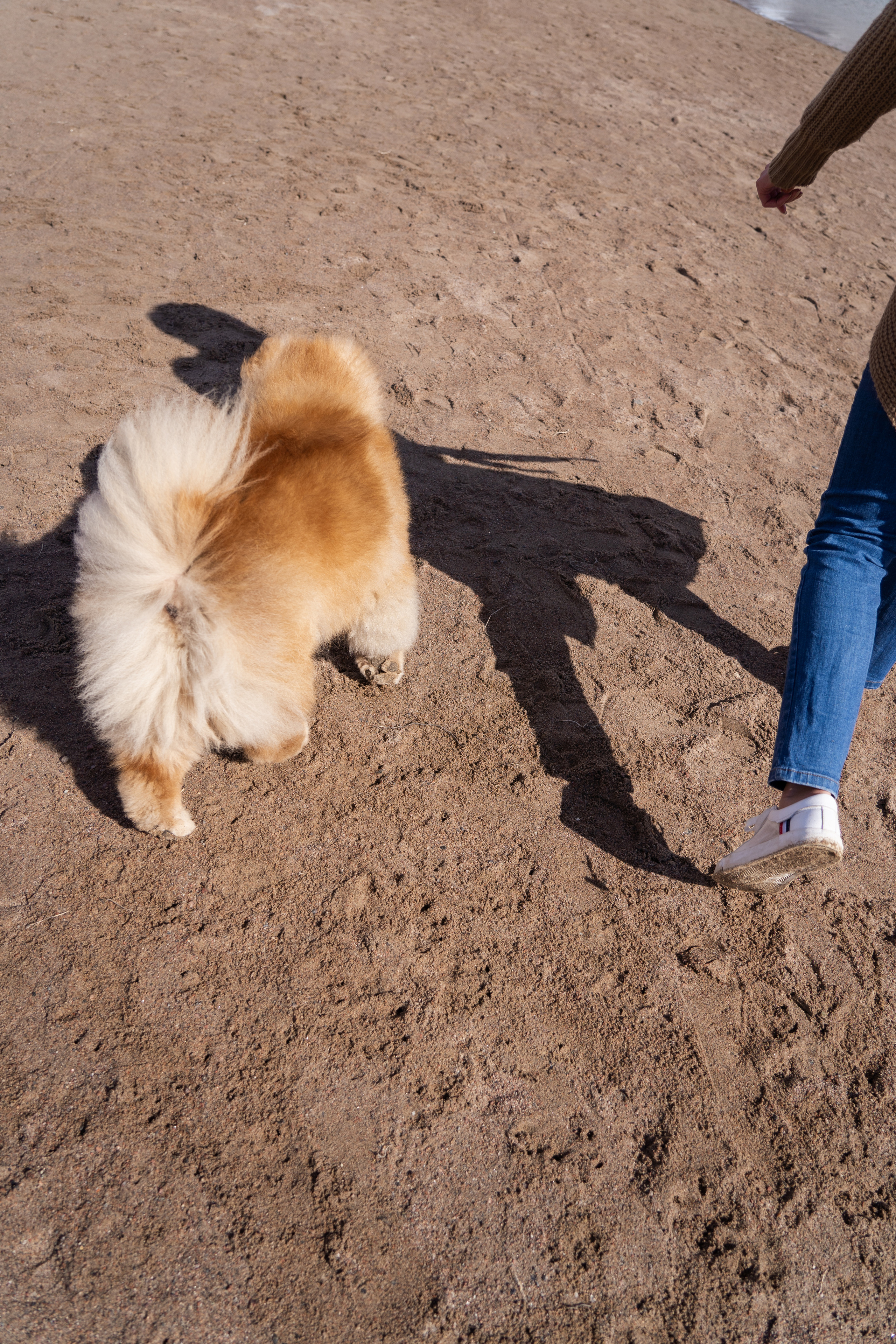 Фотограф-эстет