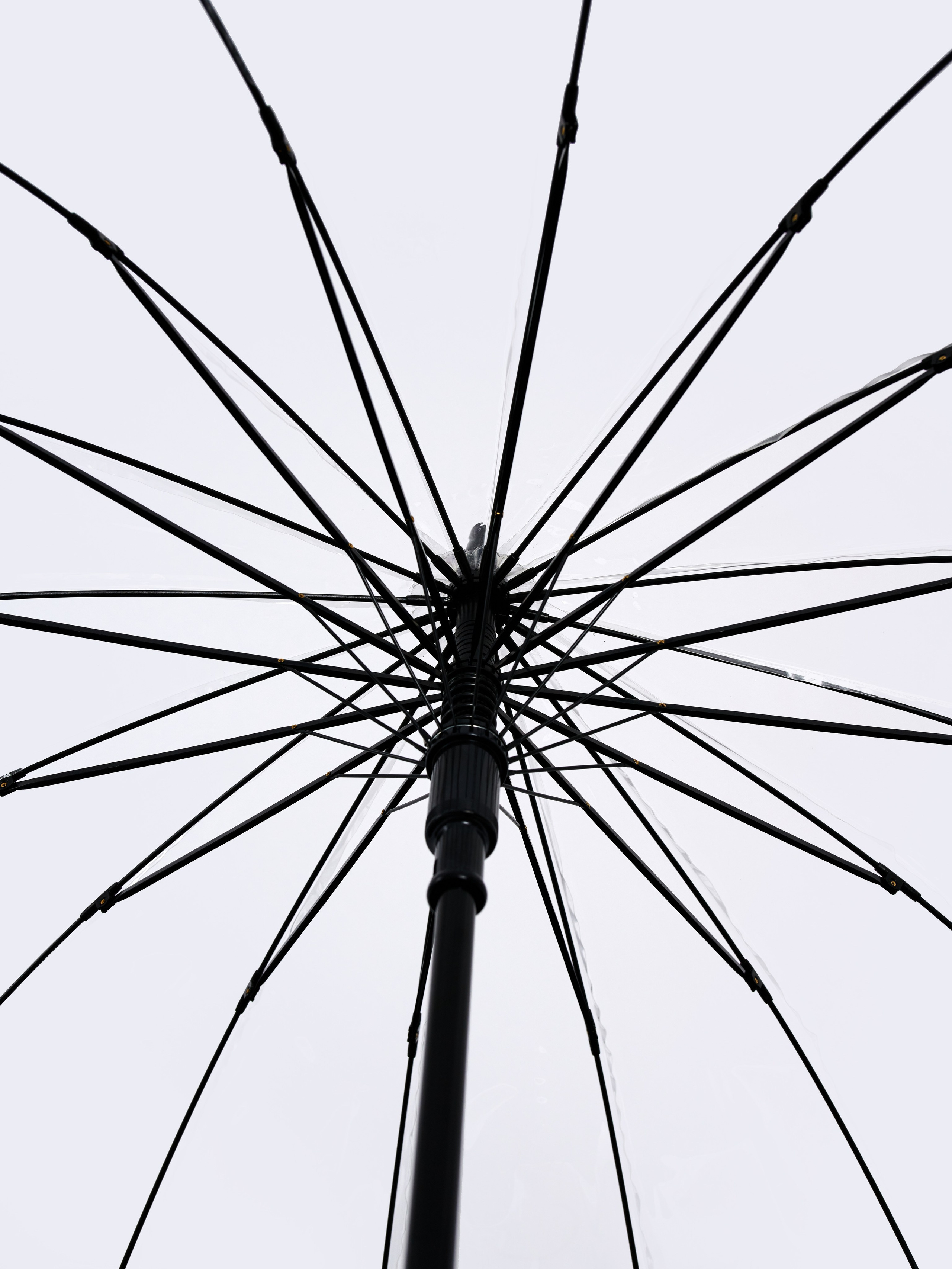 Dolphin. Zubkov Jan Hochzeitsfotograf Deutschland