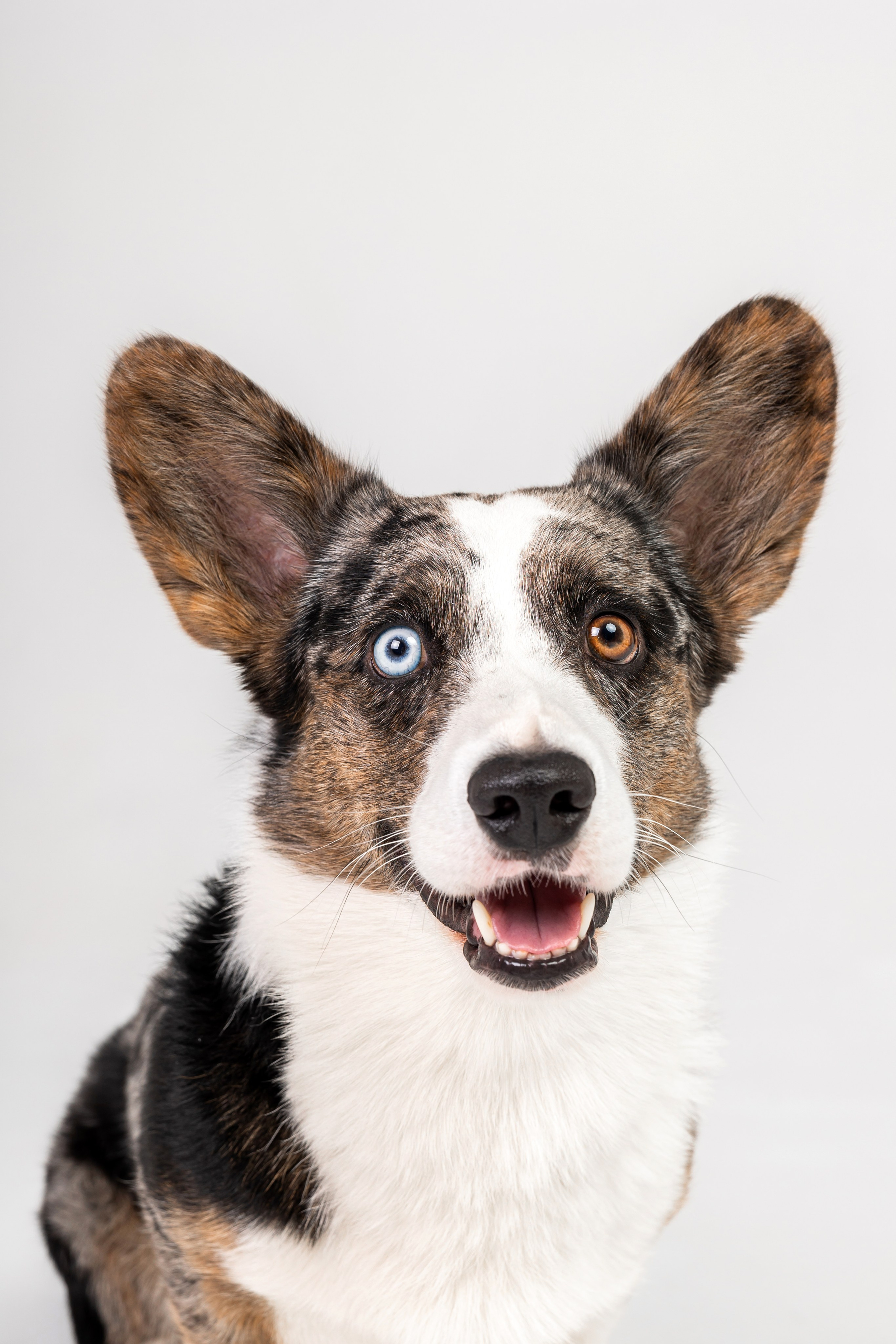 Анатолий и Рагнар