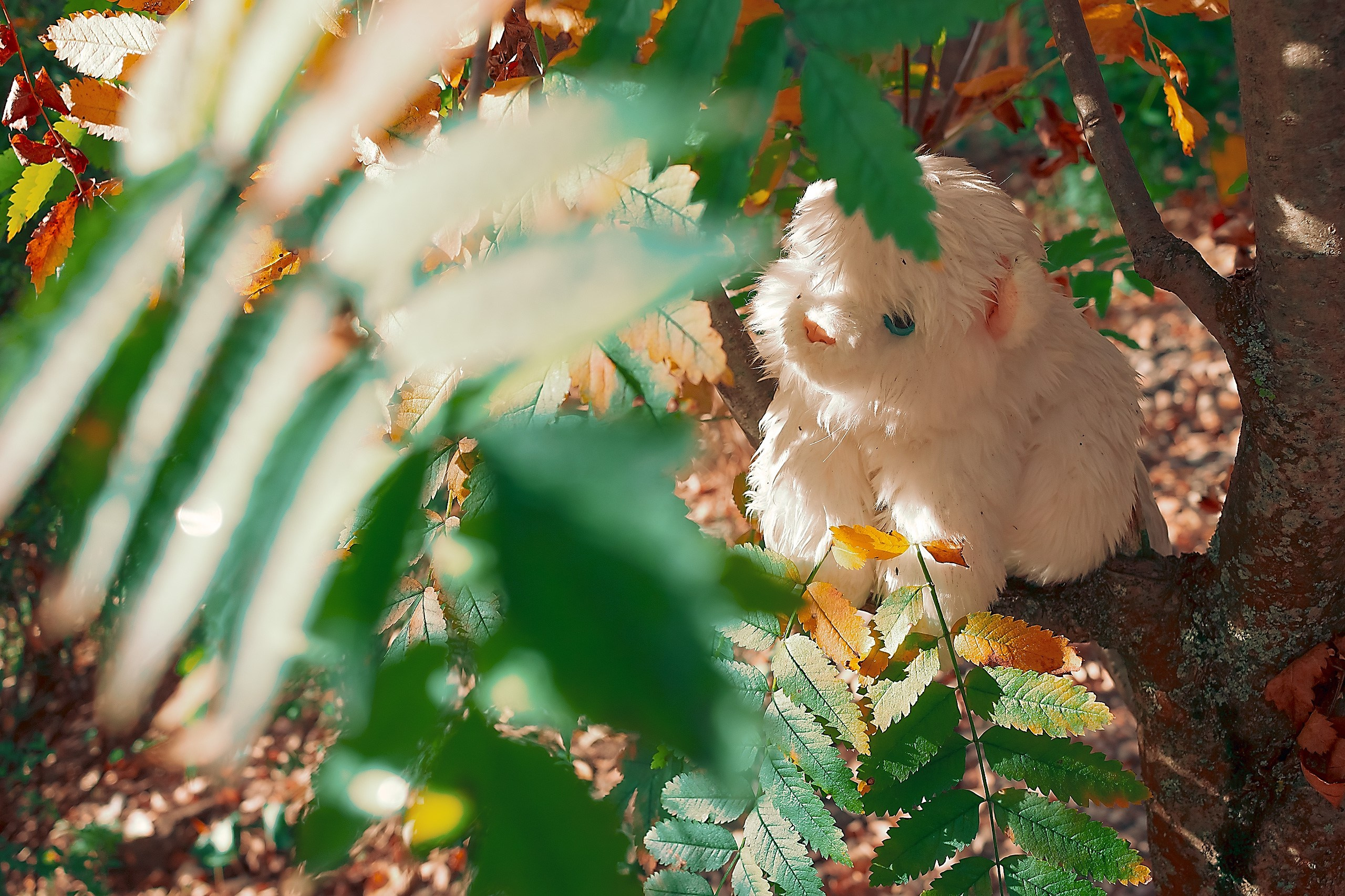 Сказка — Быль. Аmat Victoria Сuram