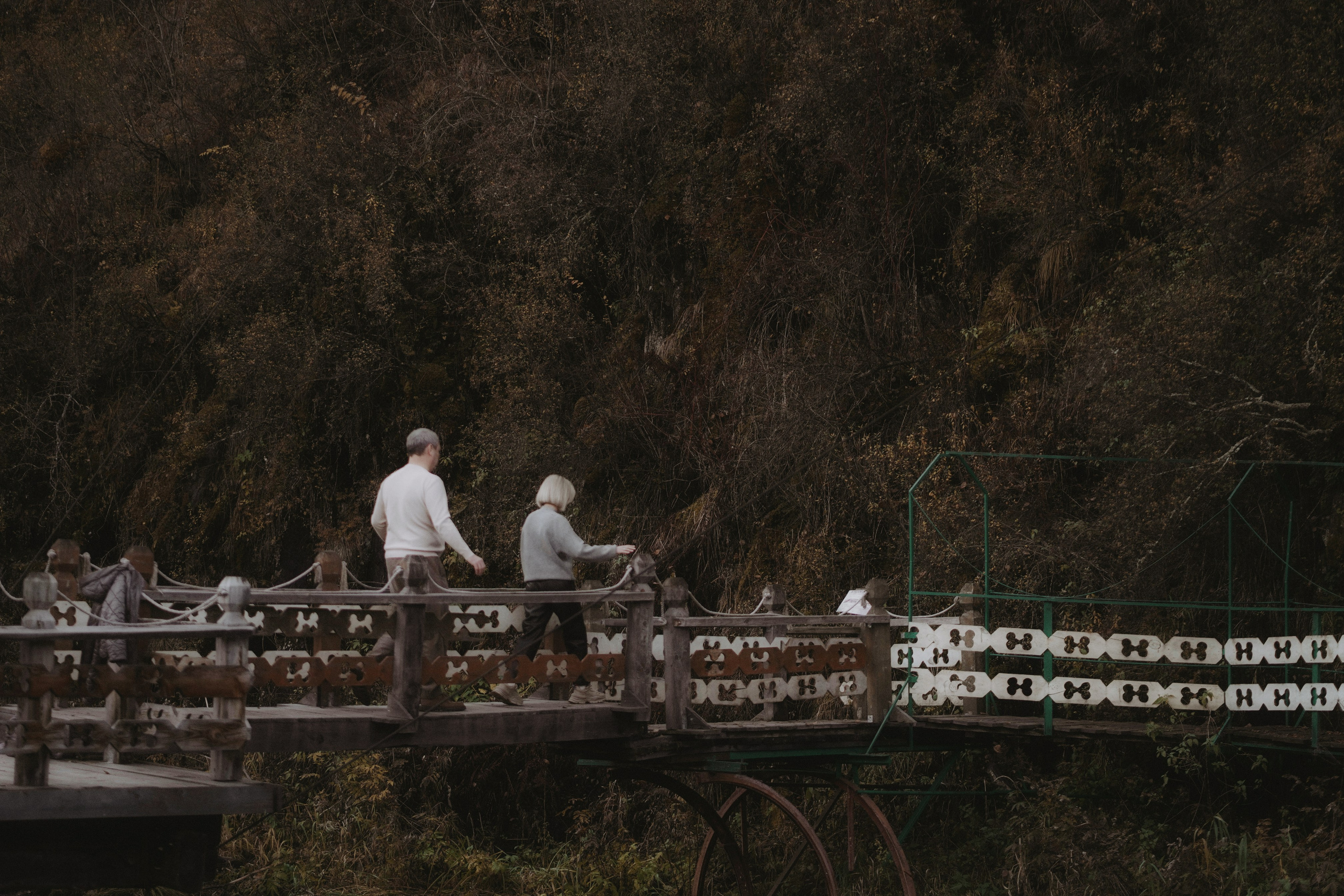 Межсезонье в Саду Пионов. Выездной фотограф-видеограф в Республике Алтай Солоны Куюкова