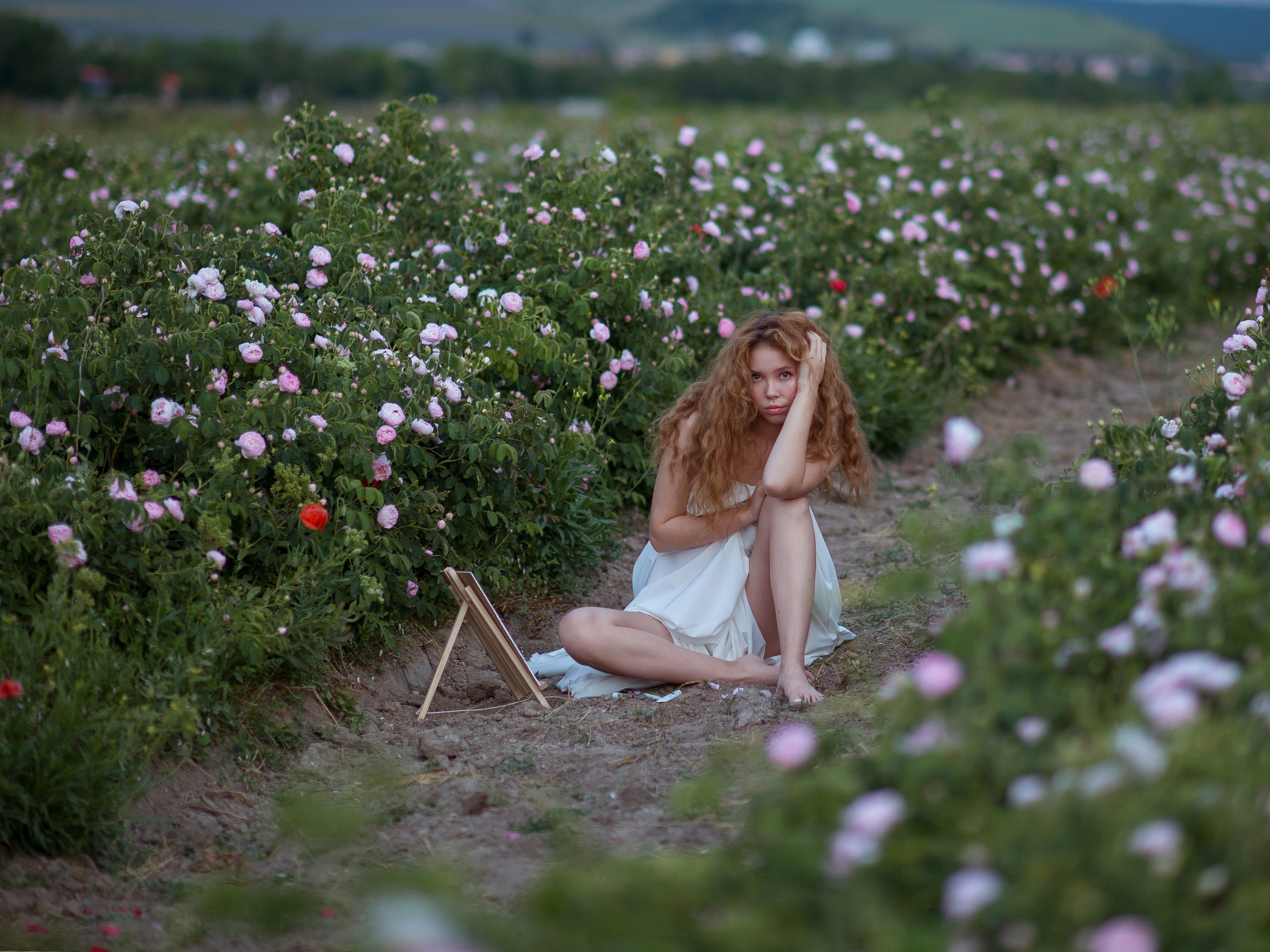 Что цветет в Крыму зимой, весной, летом и осенью. Семейный фотограф в Севастополе и Крыму Александра Погребняк