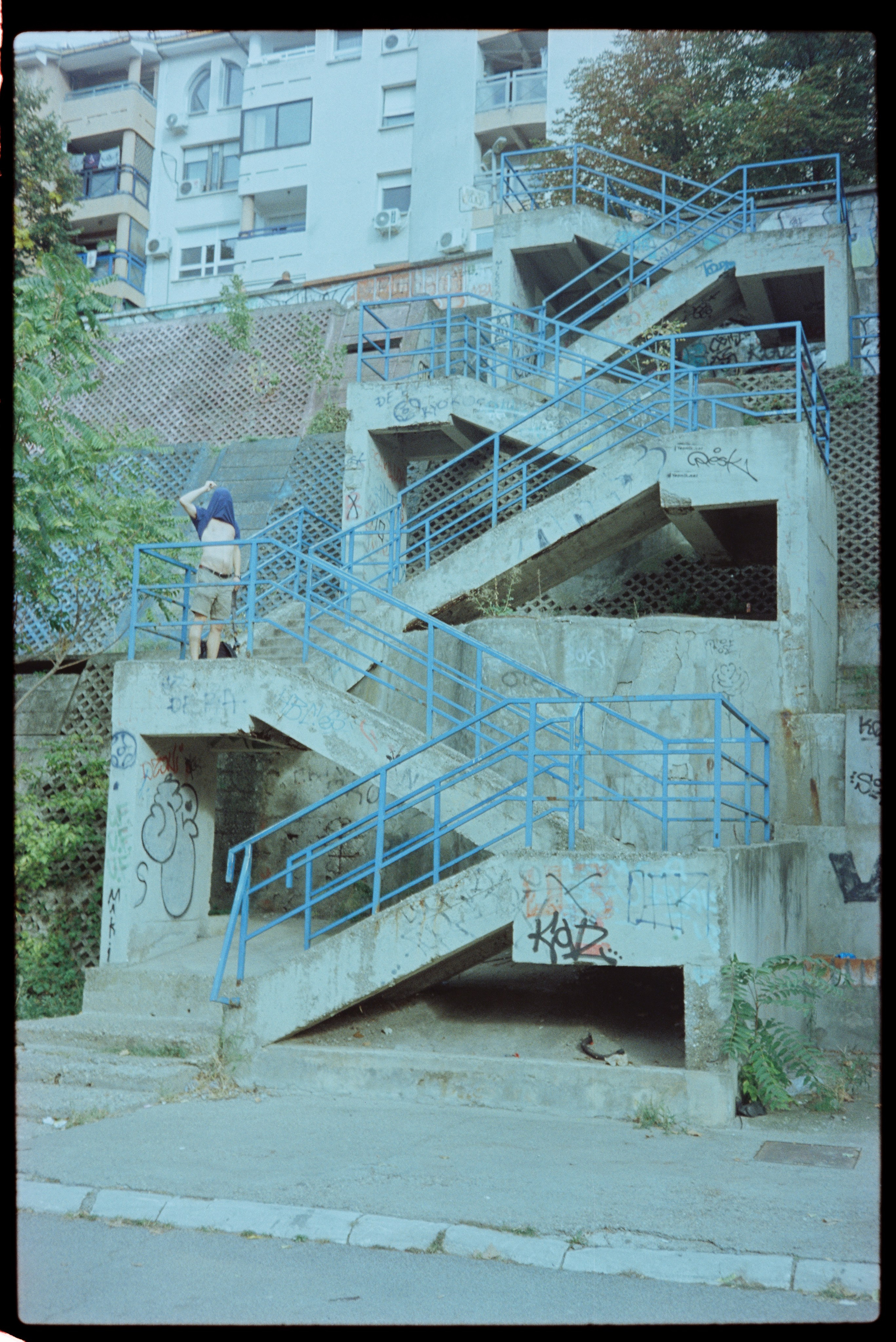 LIFE. Zheltokhov Egor