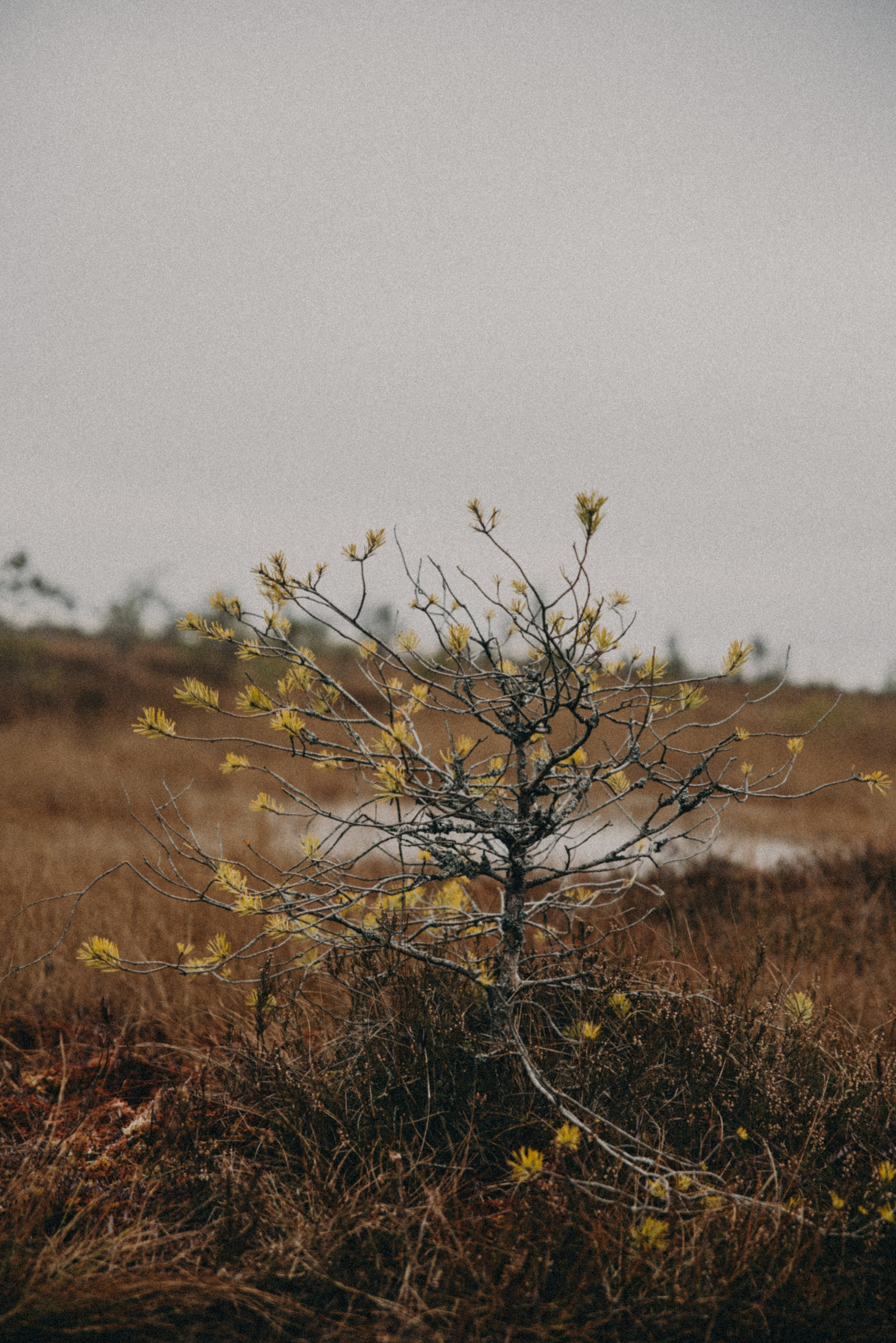 Ельня, Беларусь. Anita_photo