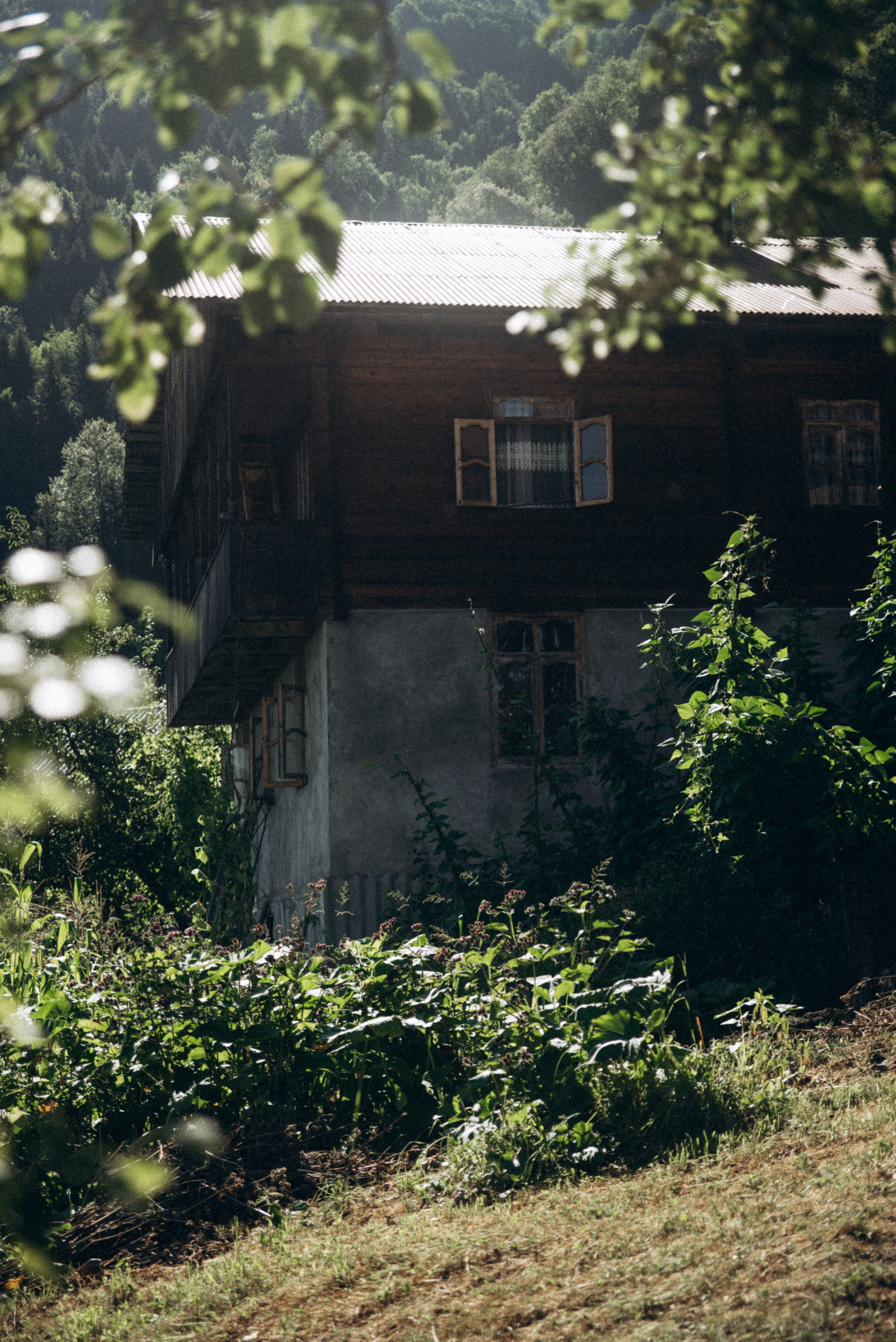 Верхняя Аджария, Грузия 🇬🇪. Anita_photo