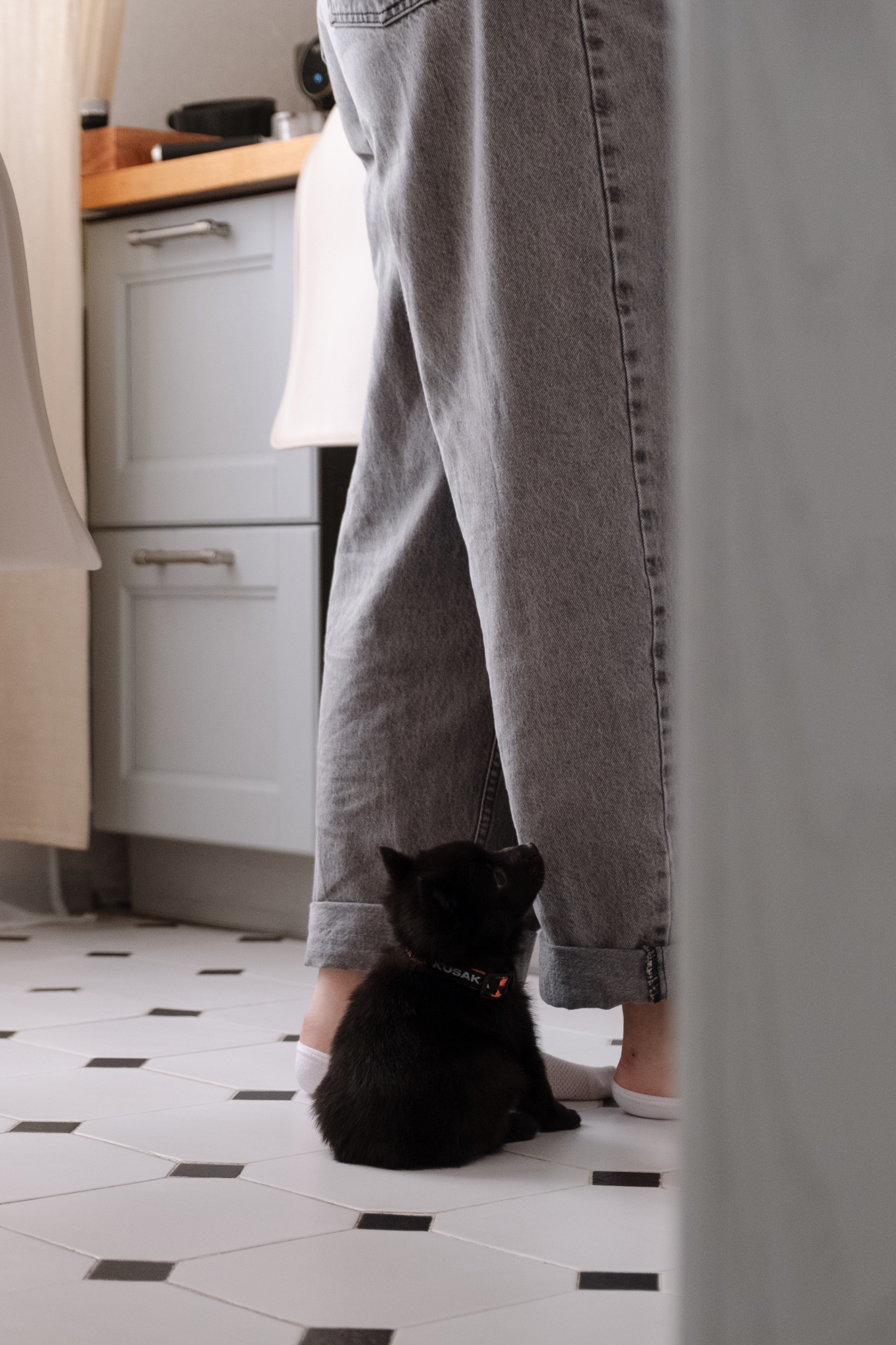 Animalism. Nataresso | фотограф Москва