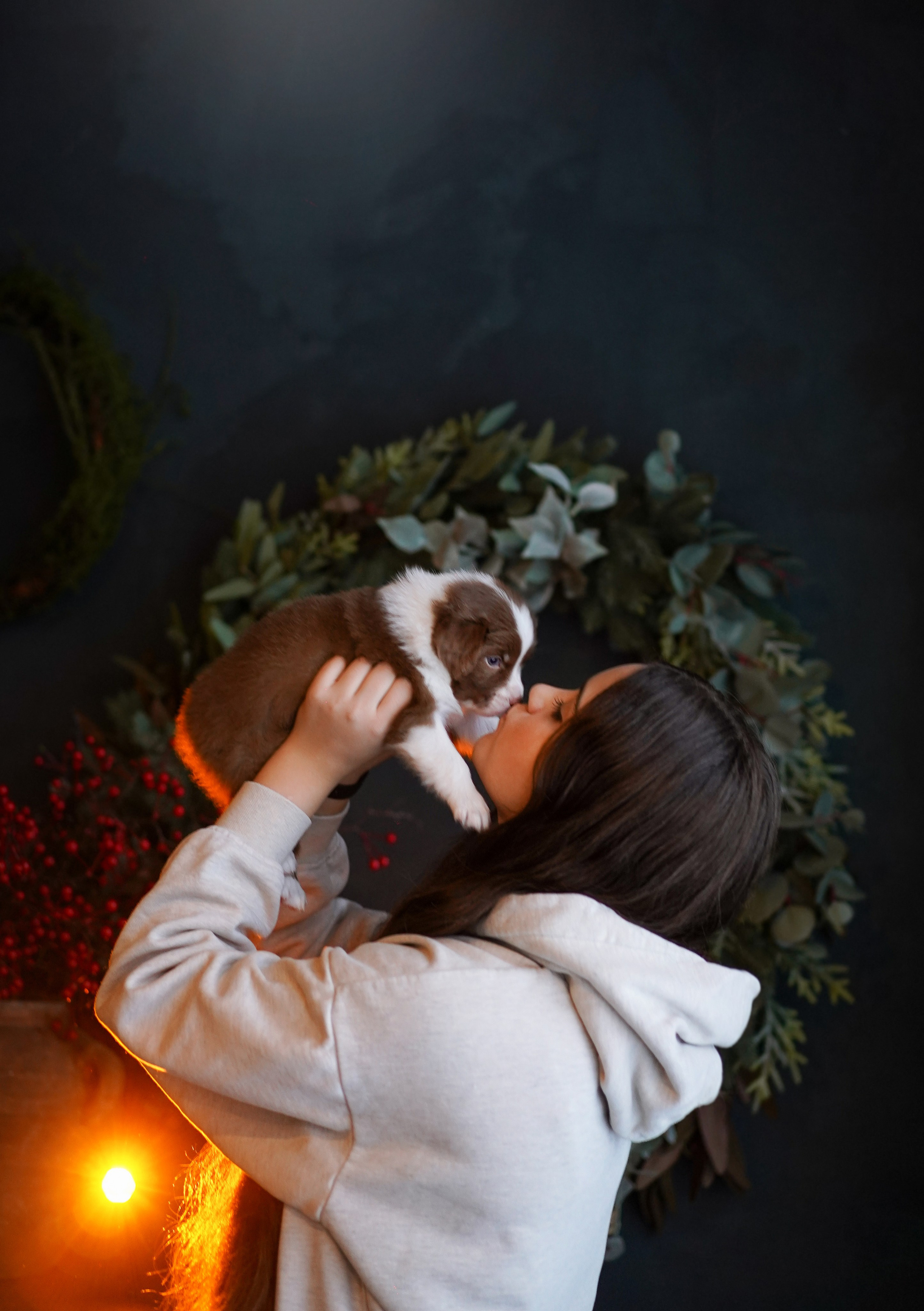 Съемка щеночков в студии. Фотограф-анималист в Санкт-Петербурге Яна Мартынова