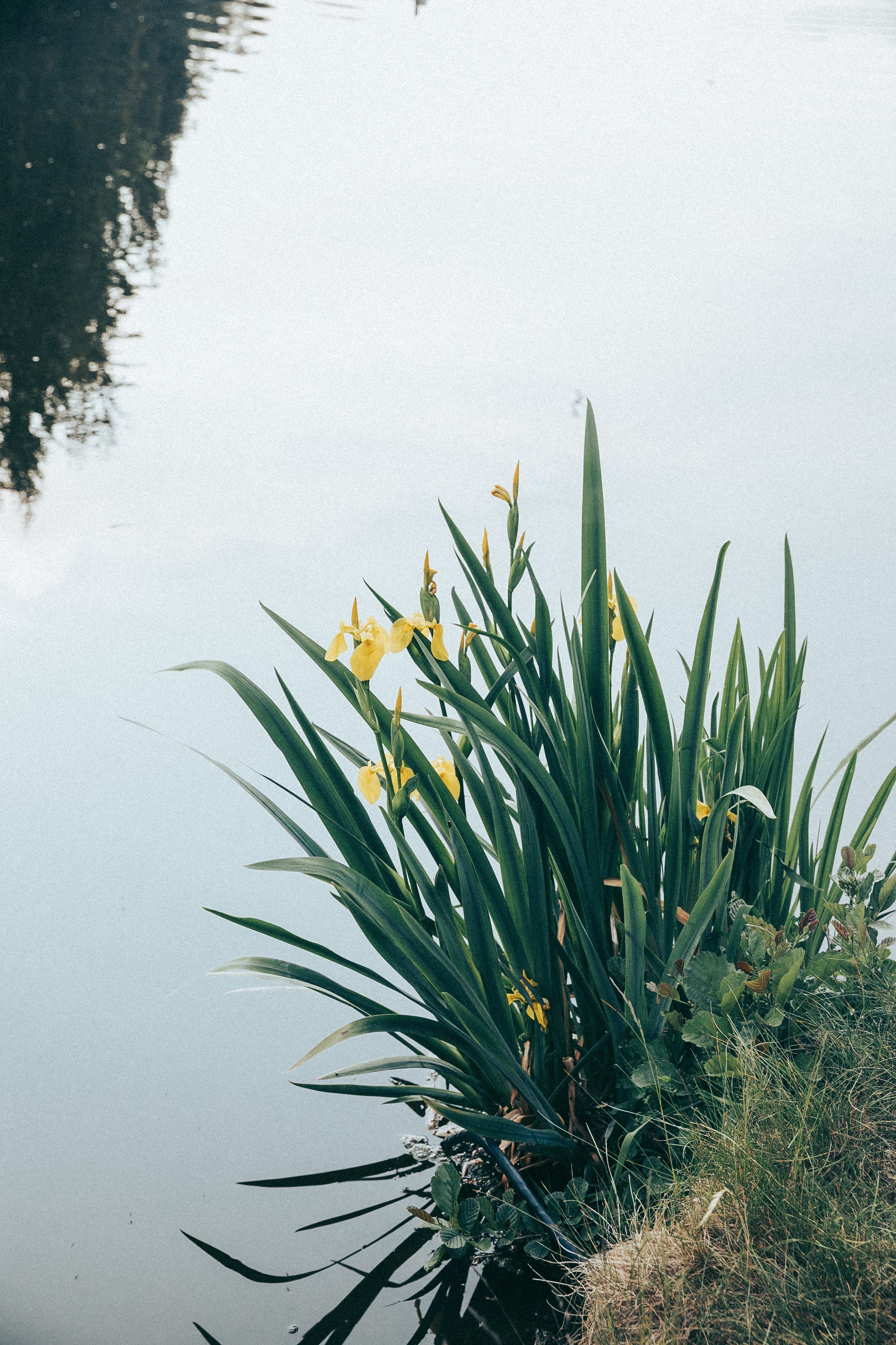 Юля. Фотограф в Москве Шаганова Нина