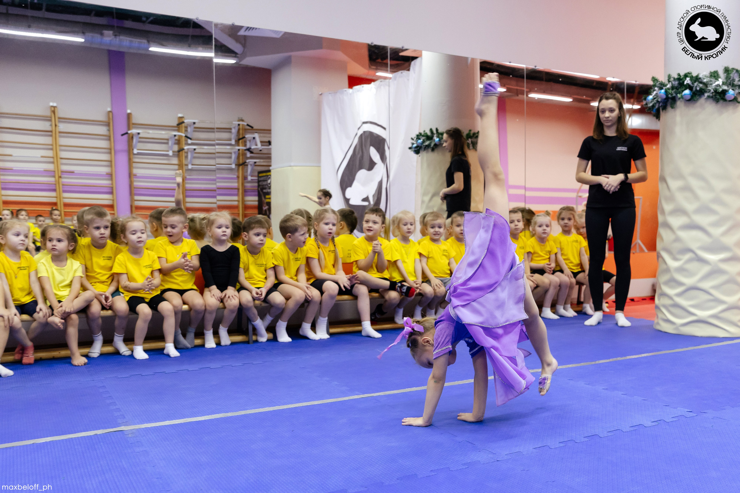 Белый кролик. Соревнования. Семейный фотограф — Макс Белогрудов