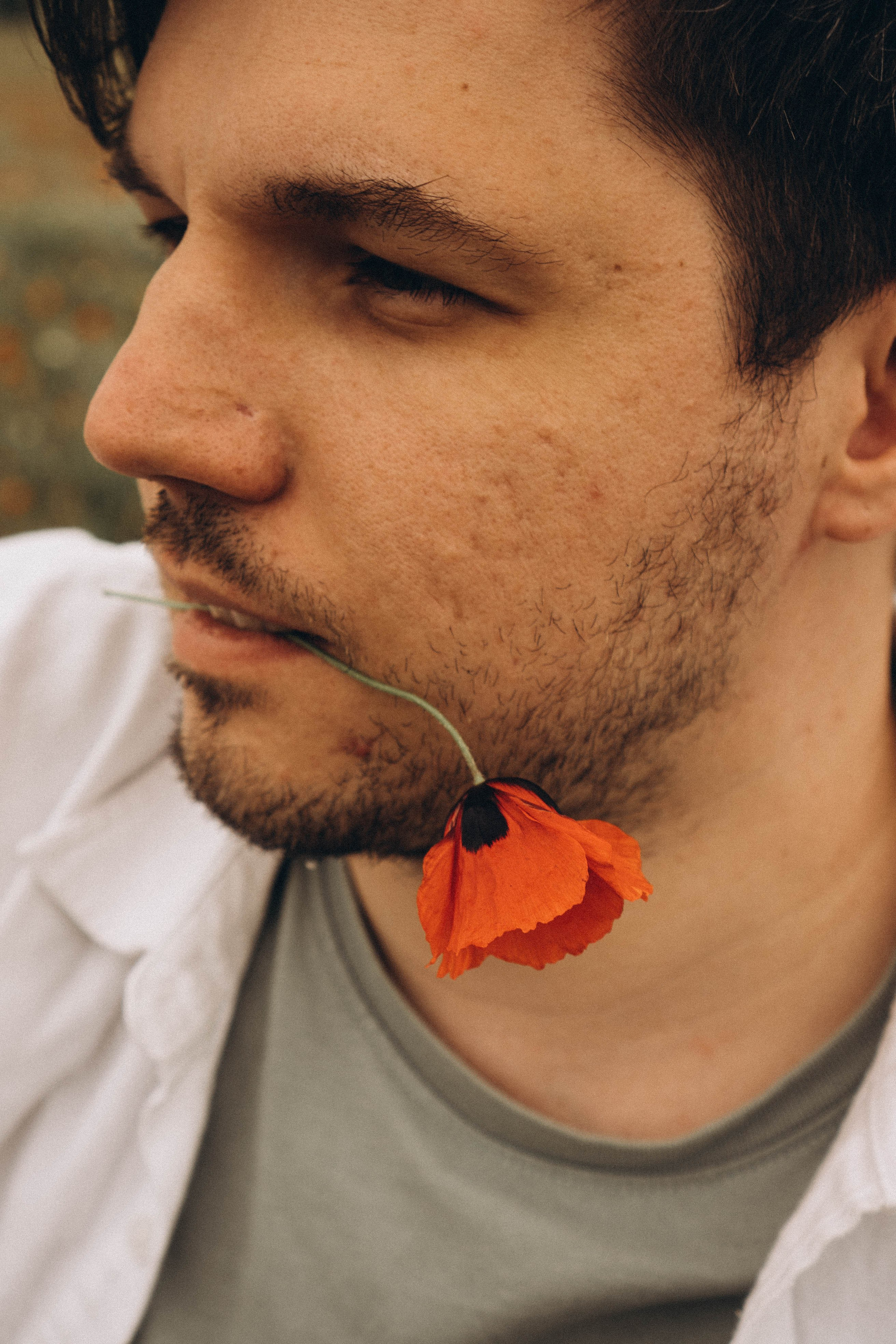 Маки. Профессиональный фотограф, Санкт-Петербург — Виктория Богомолова