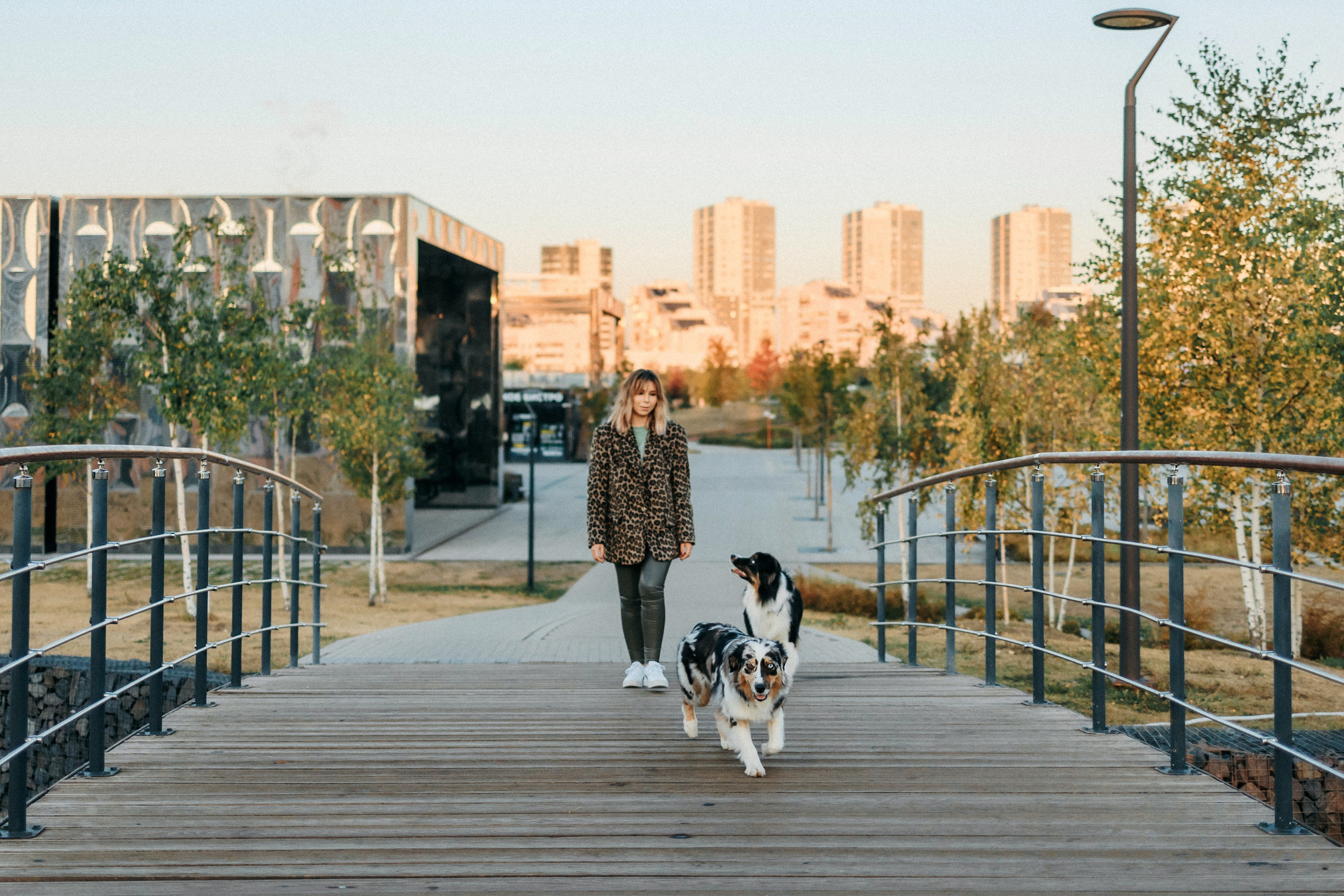 Аня, Чарли и Ева. Фотограф-анималист Елена Радченко, Москва