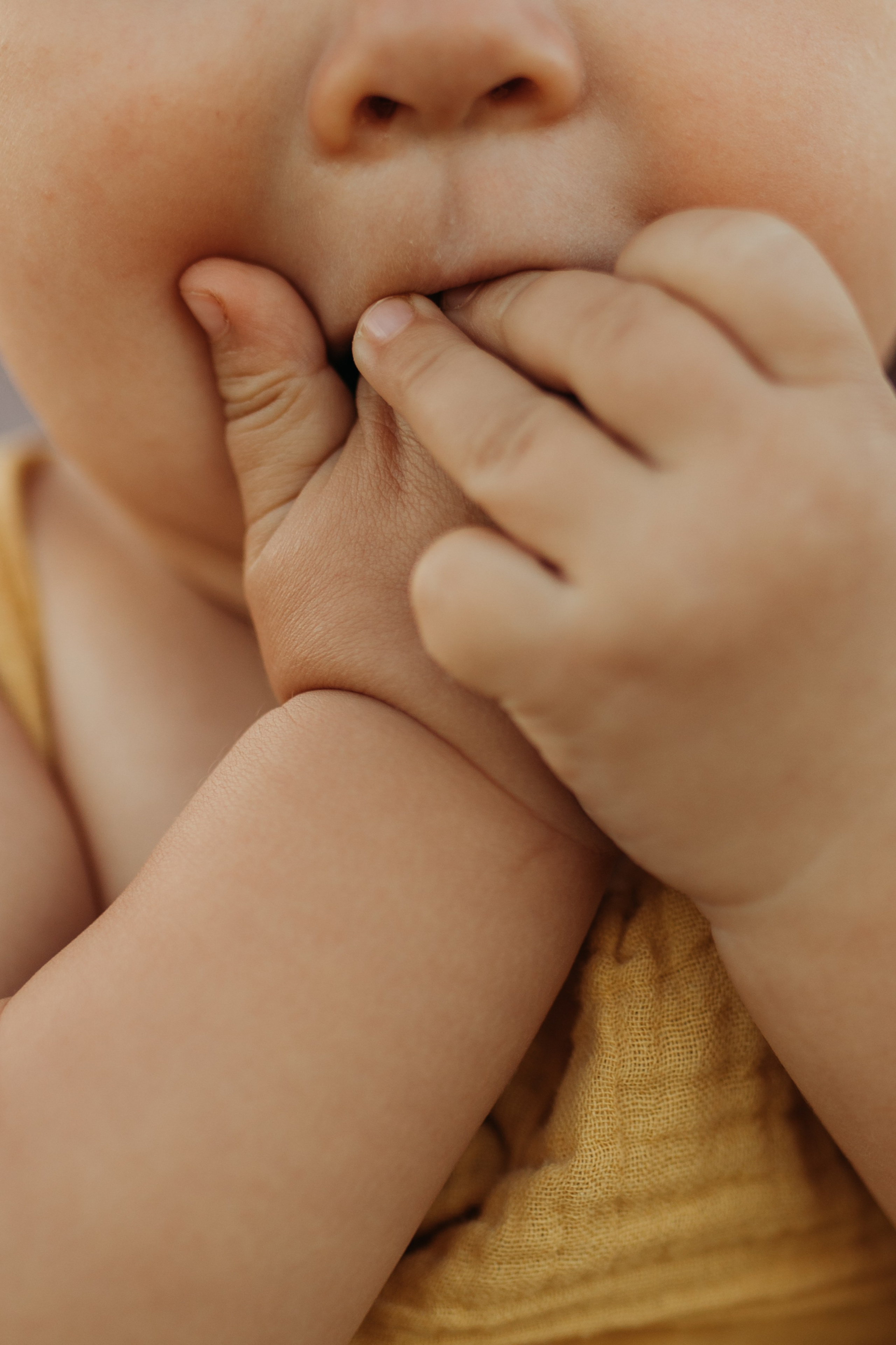Маргарита и Дия. Фотограф в Санкт-Петербурге и Ленинградской области. Касаткина Ксения