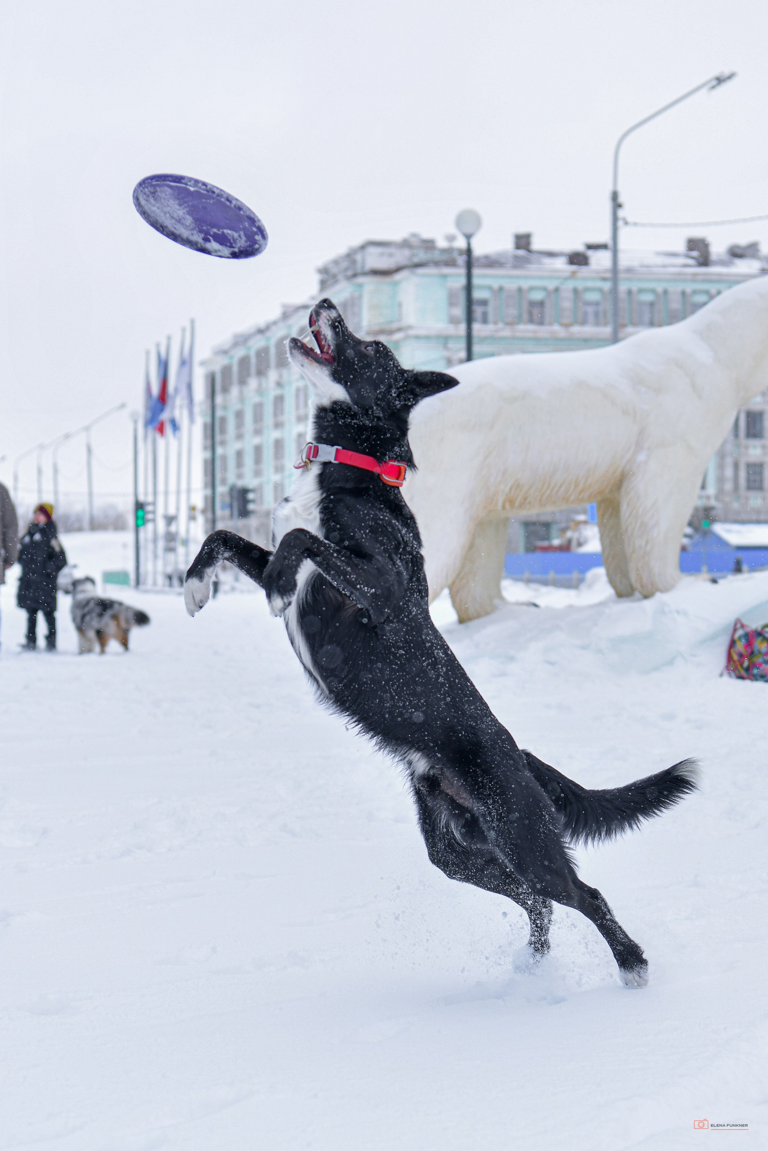 Зима. Свой взгляд через объектив
