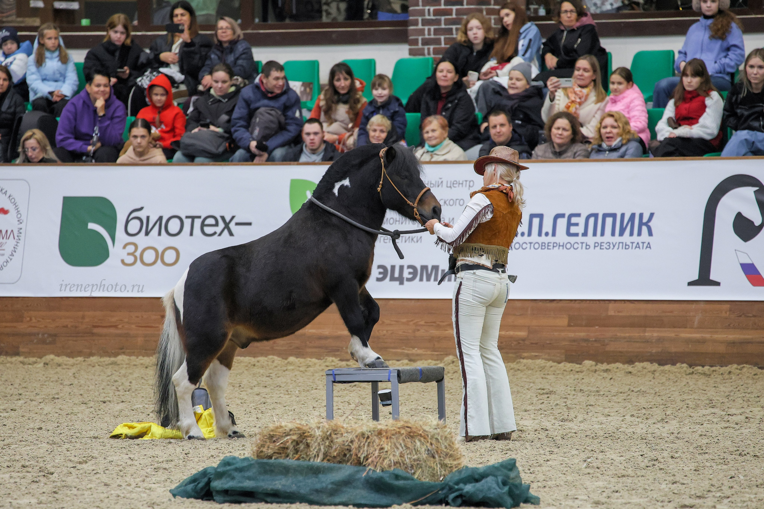 Конная Россия 2024. Irenephoto.ru