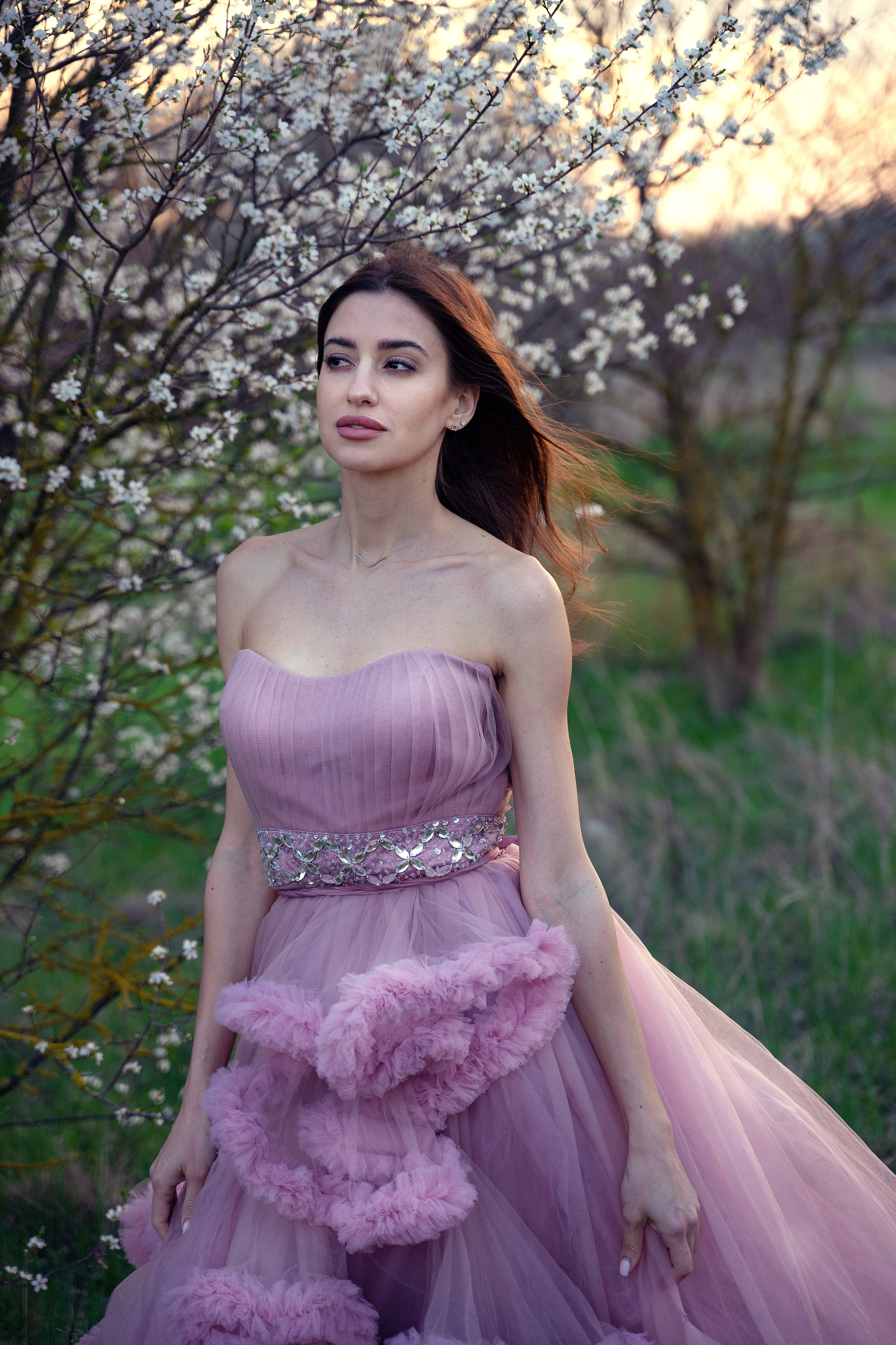 Смешанное цветение и зелень. Главная