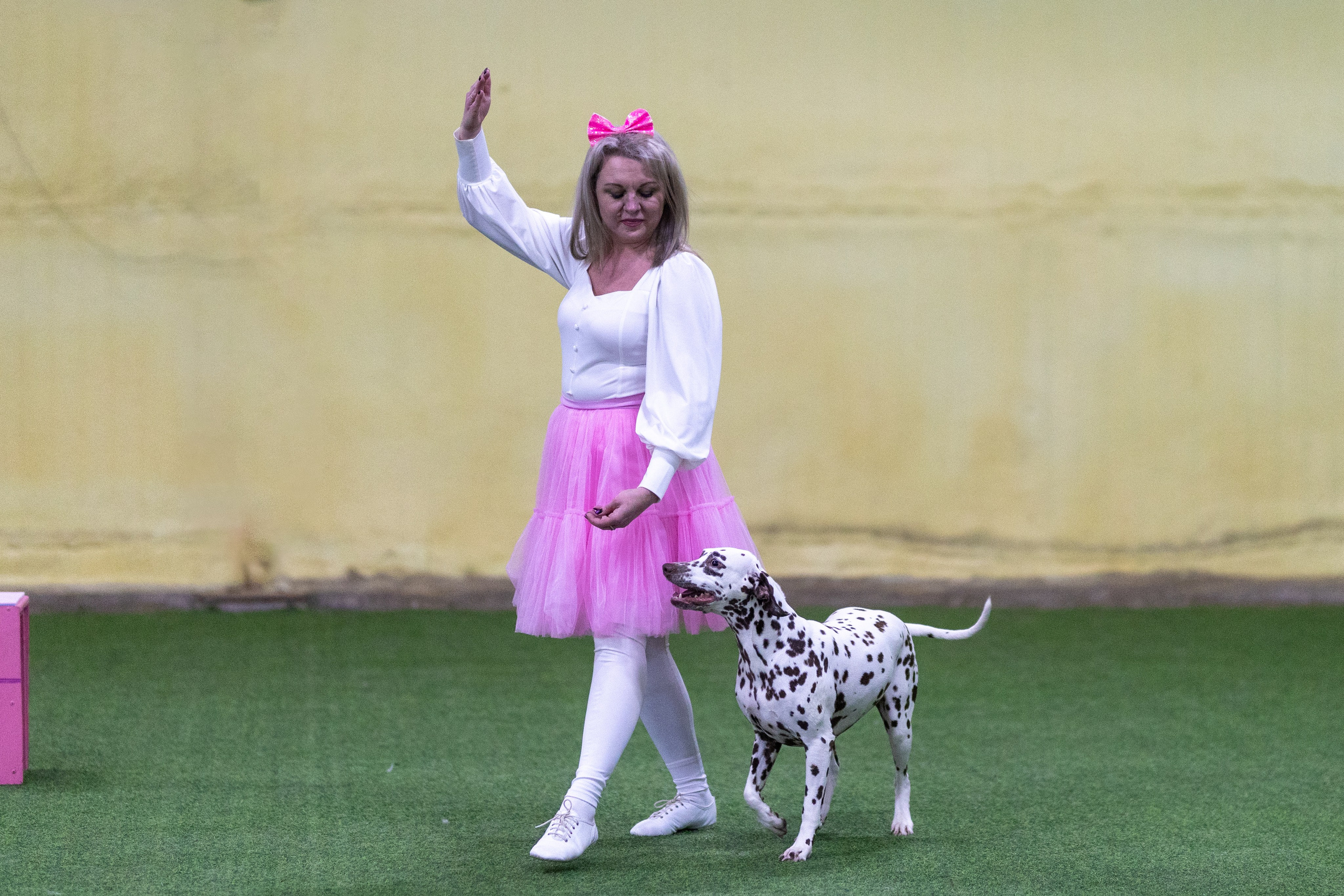 Соревнования танцы. Фотограф-анималист в Москве Кириллова Татьяна