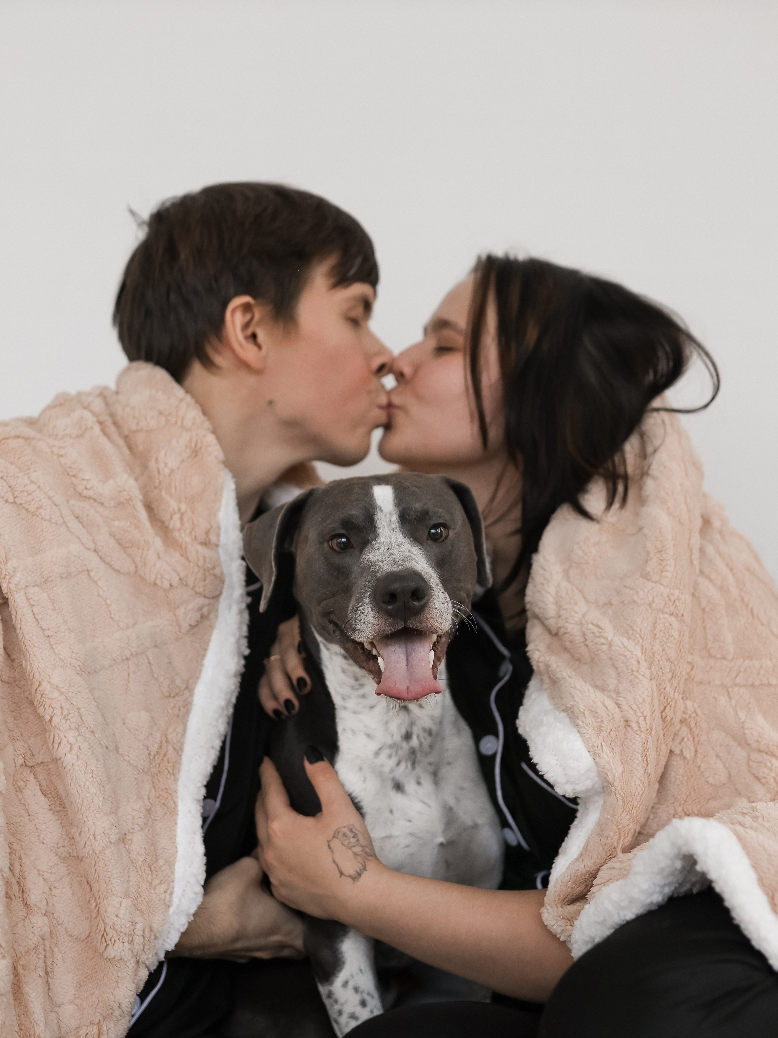 Тортик Даша и Никита. Фотограф-анималист в Москве Кириллова Татьяна