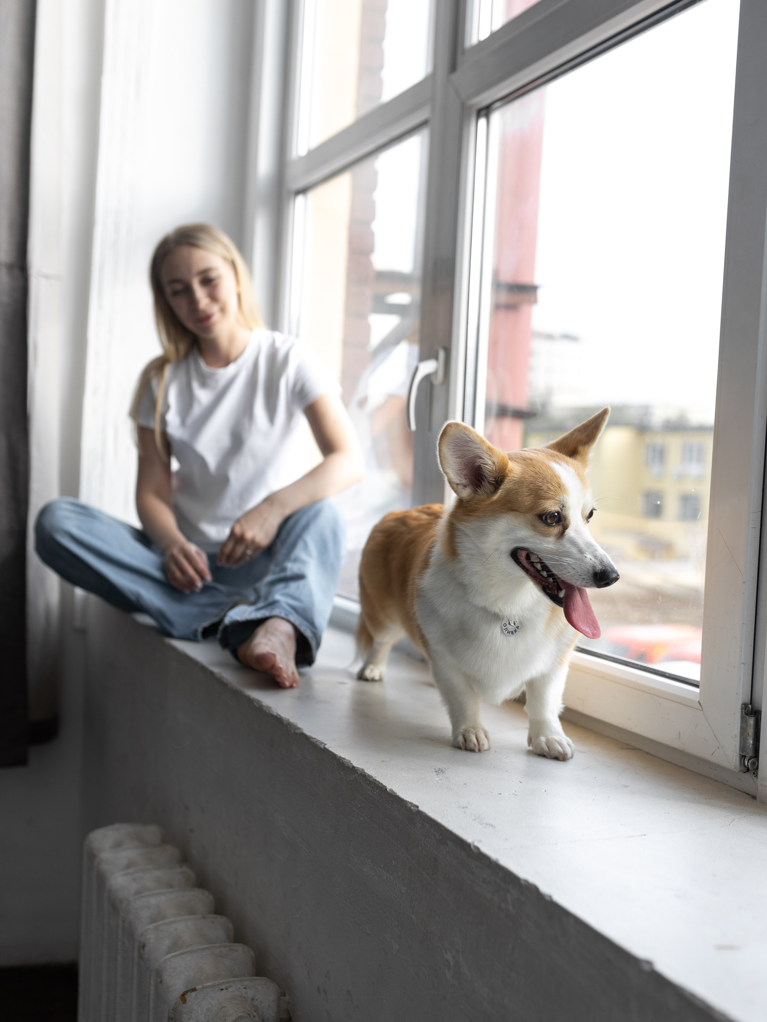 Оливка и Ника. Фотограф-анималист в Москве Кириллова Татьяна