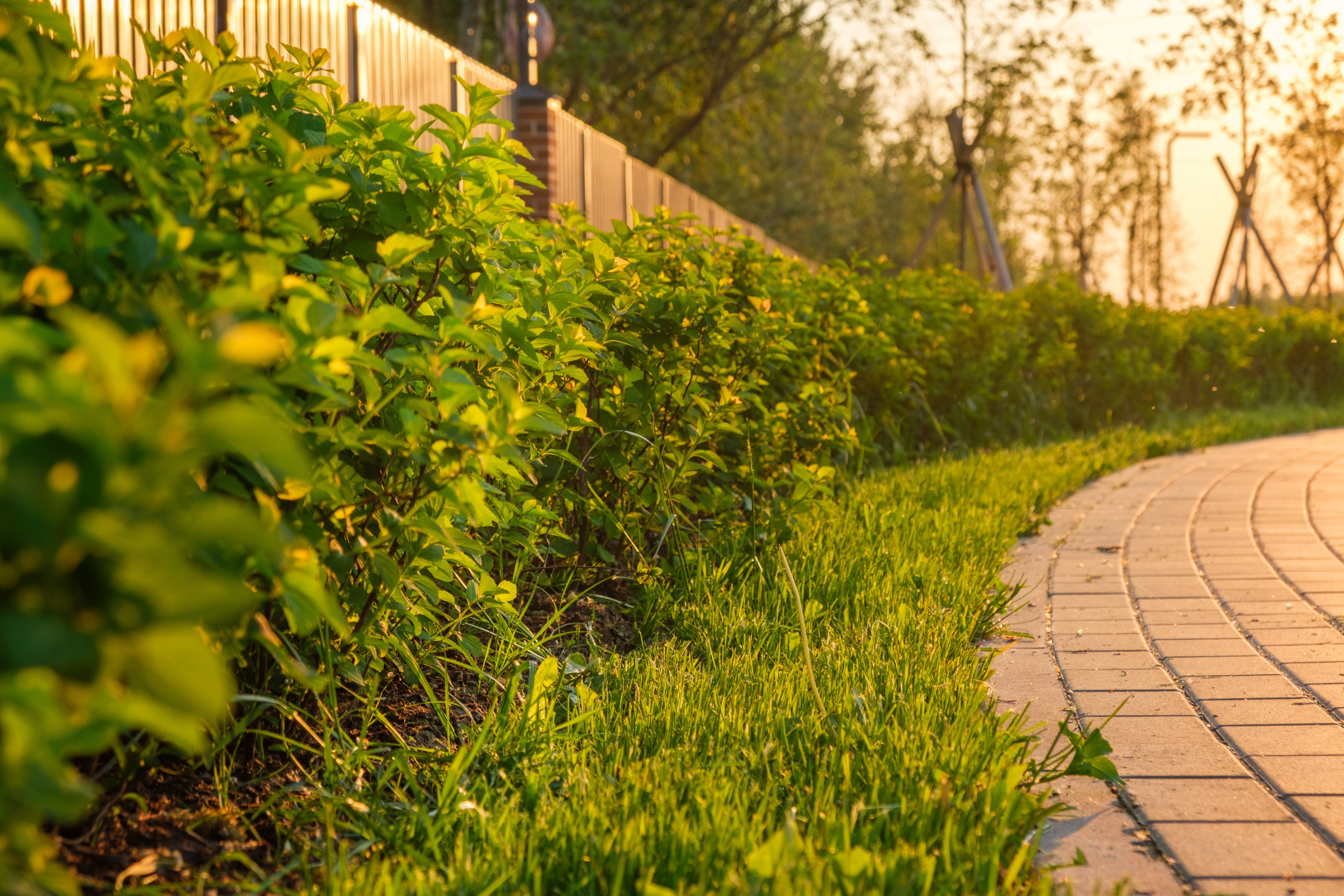 Архитектурная фотосъёмка коттеджного посёлка