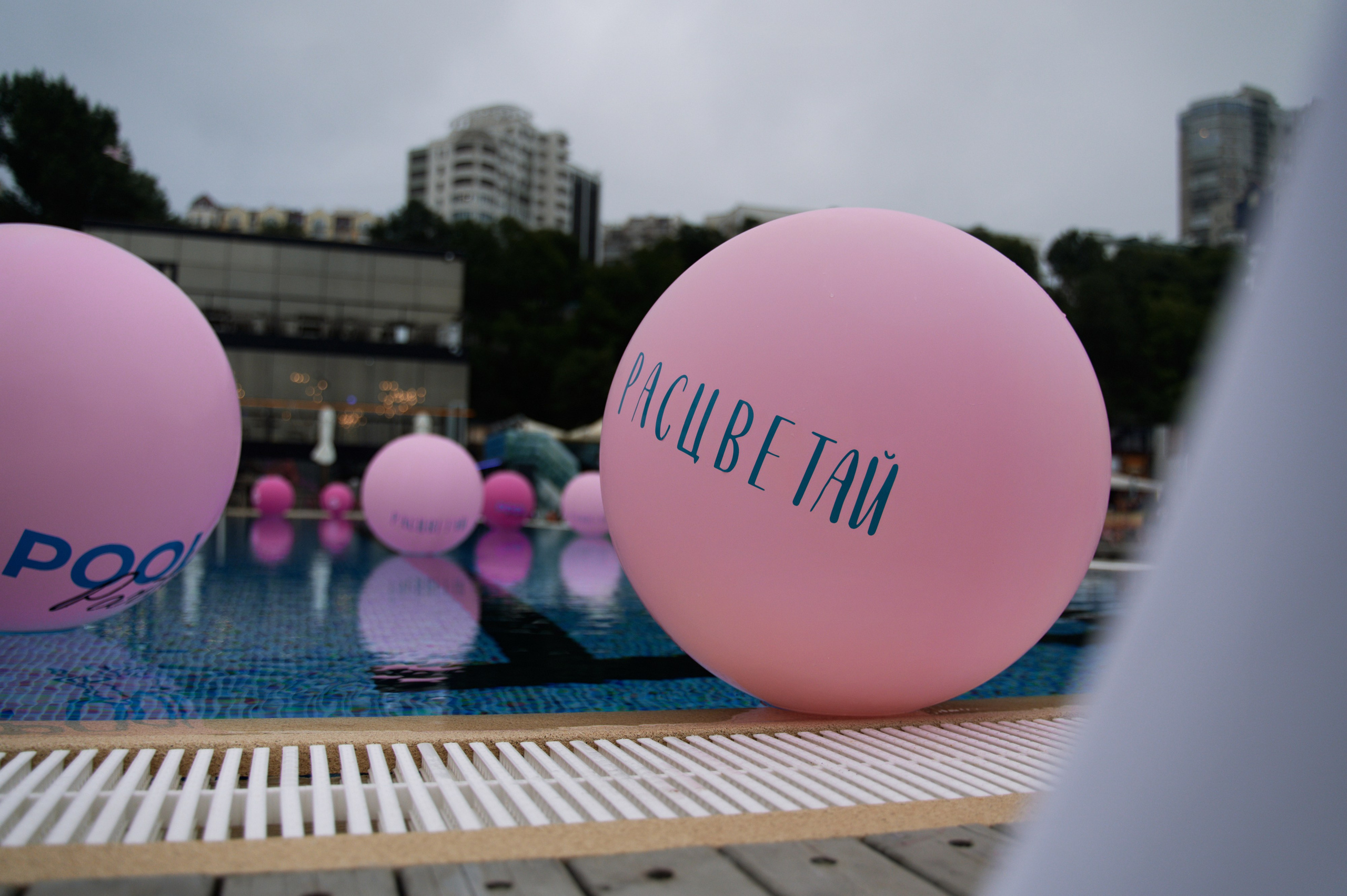 Расцветай. Свадебный фотограф во Владивостоке Гарагуля Игорь