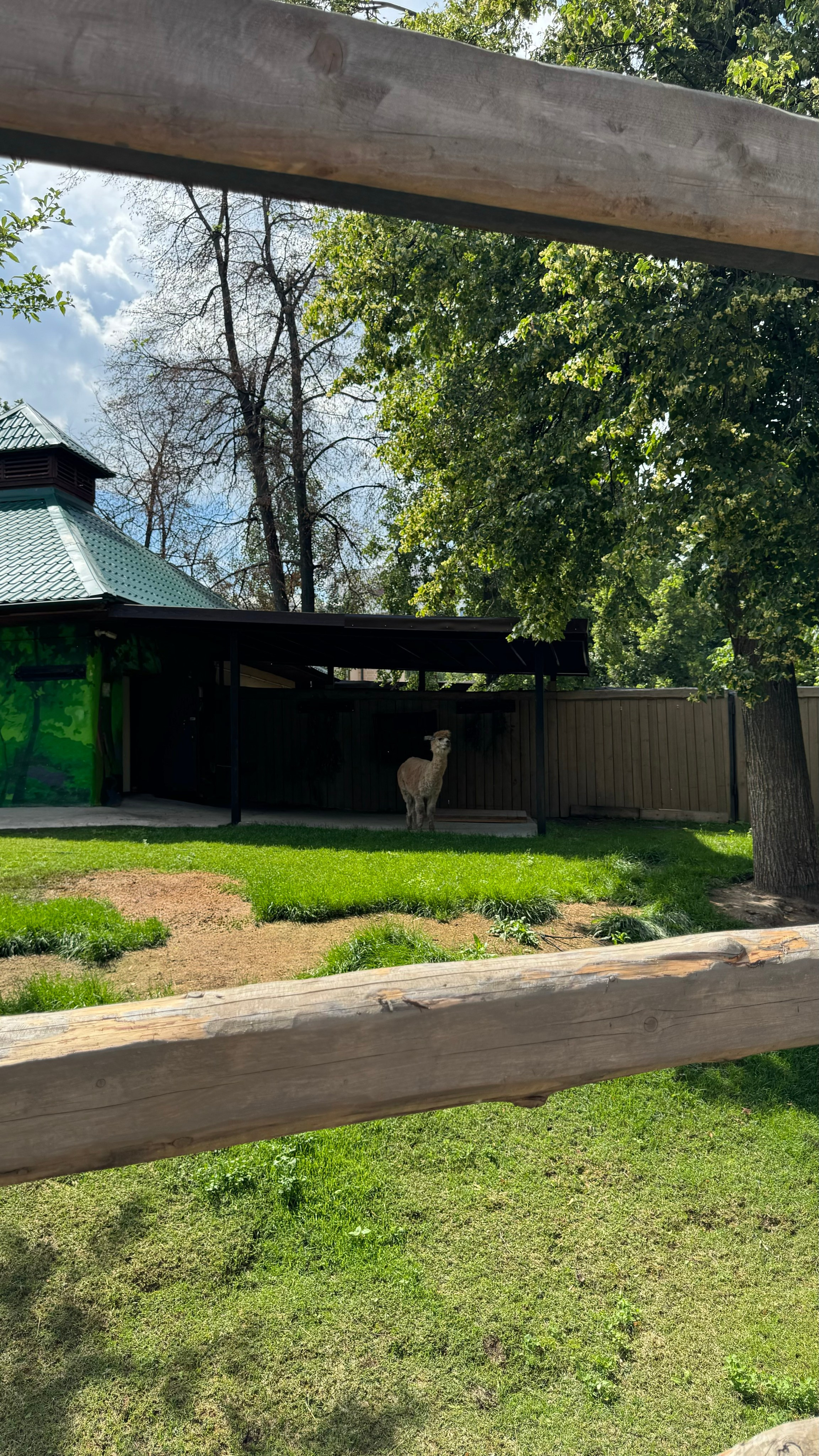 Приглашаем в арт-лагерь в Москве для детей!. Арт-вечеринки и мастер-классы в Москве для взрослых и детей