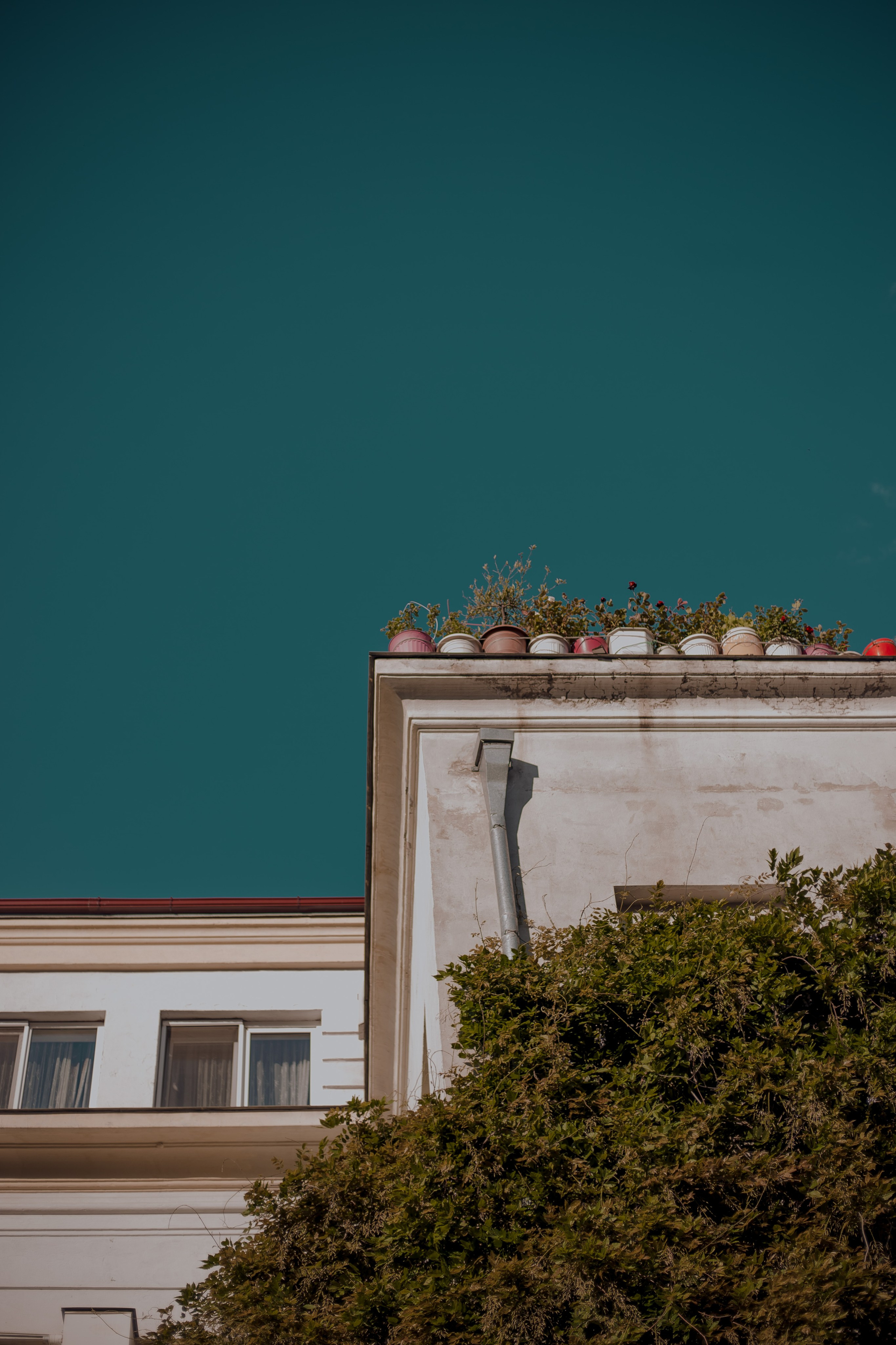 Georgia, Tbilisi. Art Photographer