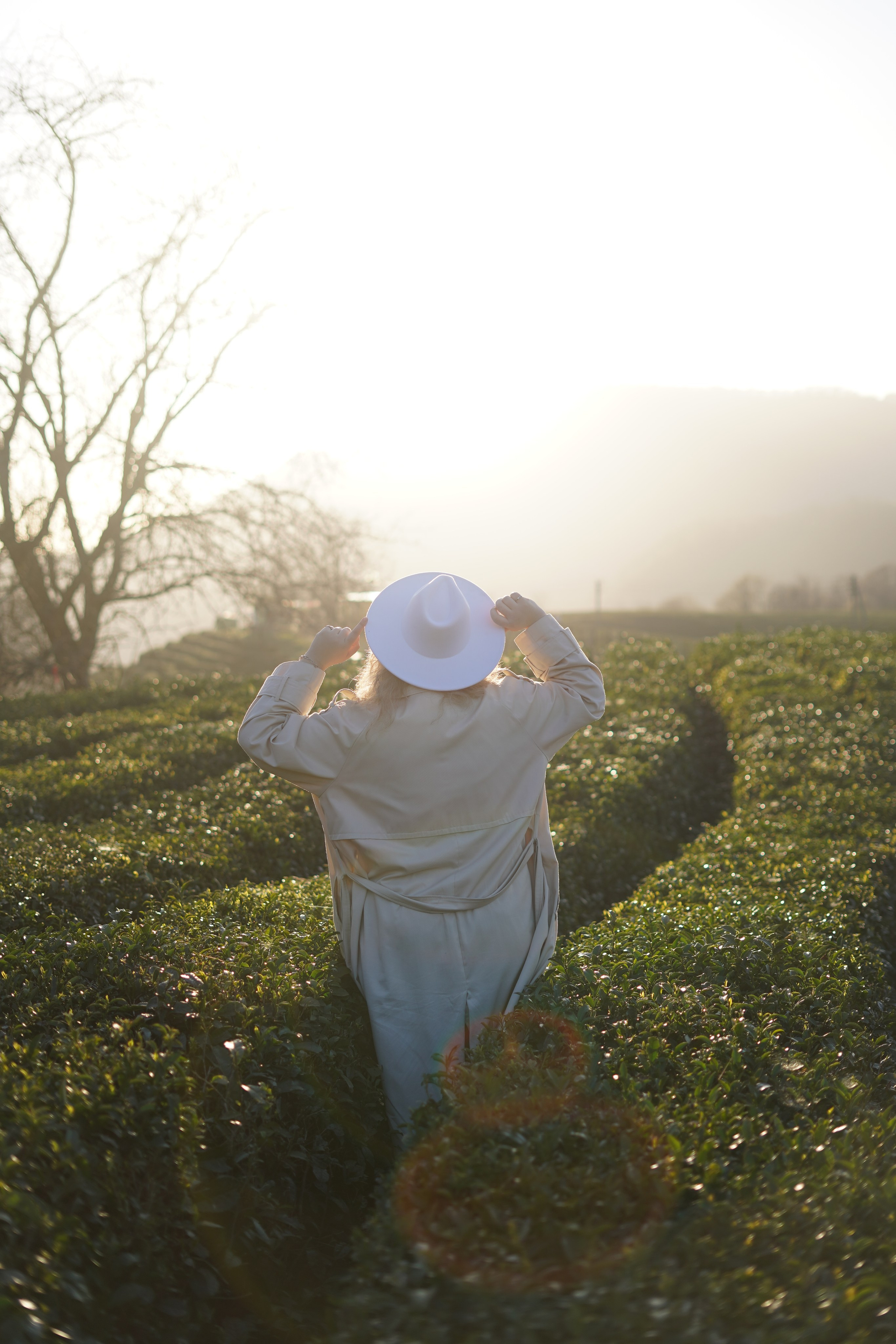 Мацеста, водопады и чайные плантации