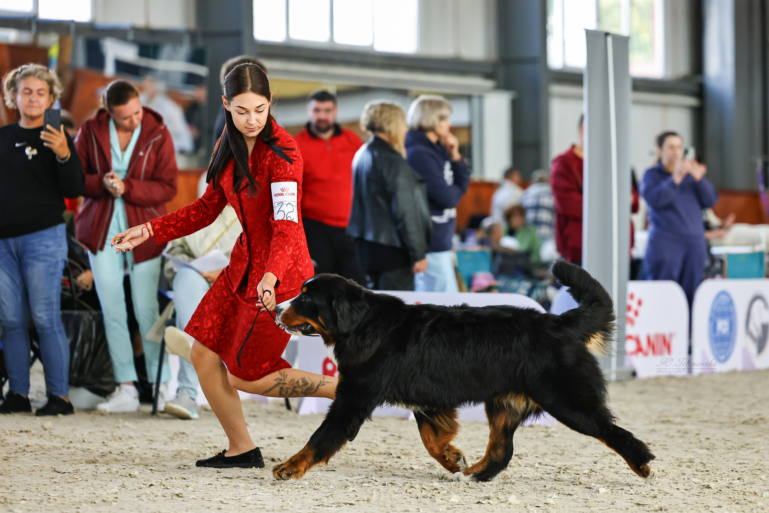 Астана 2хCACIB 26-28.09.2025. Фотограф-анималист Юлия Германика