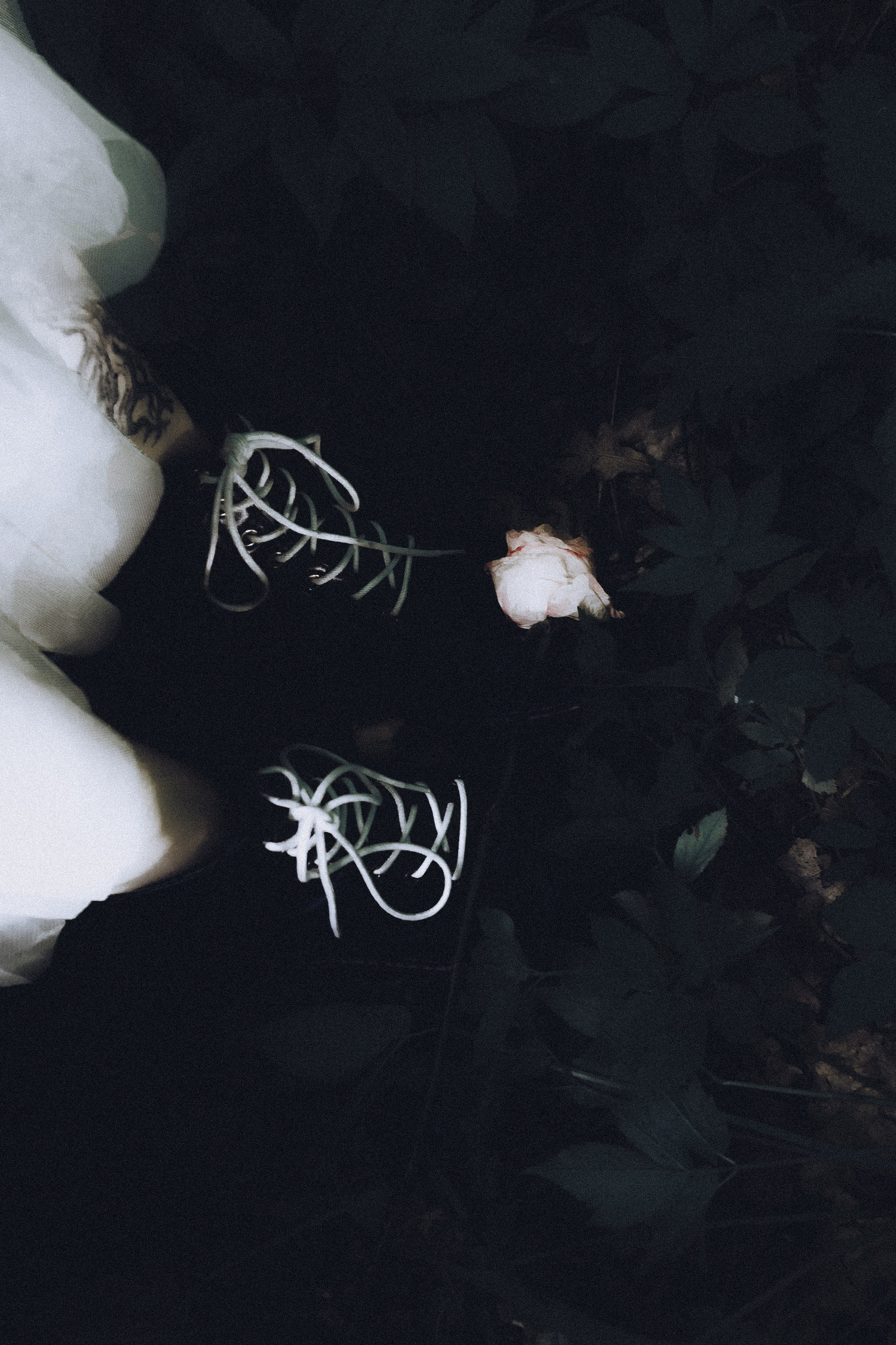 Александра Овечкина, Пенза: макросъемка черных кожаных ботинок на шнуровке среди темной листвы, готический стиль.