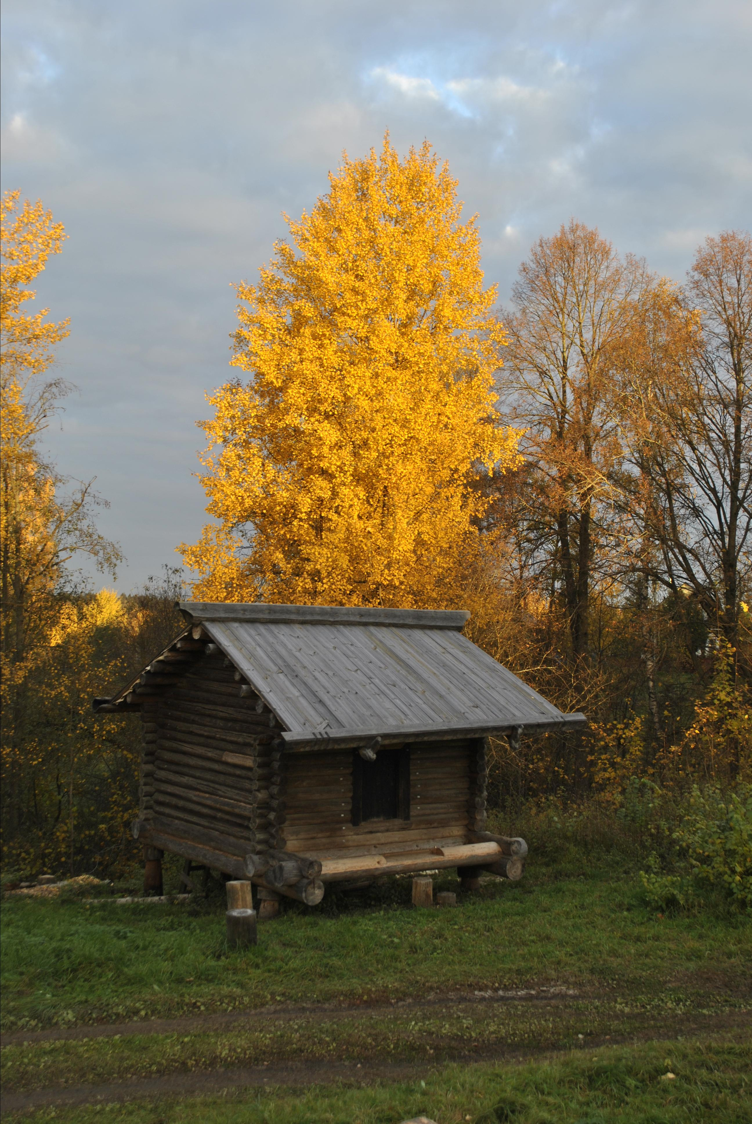 Житник (амбар). Новое Старое — русское деревянное зодчество