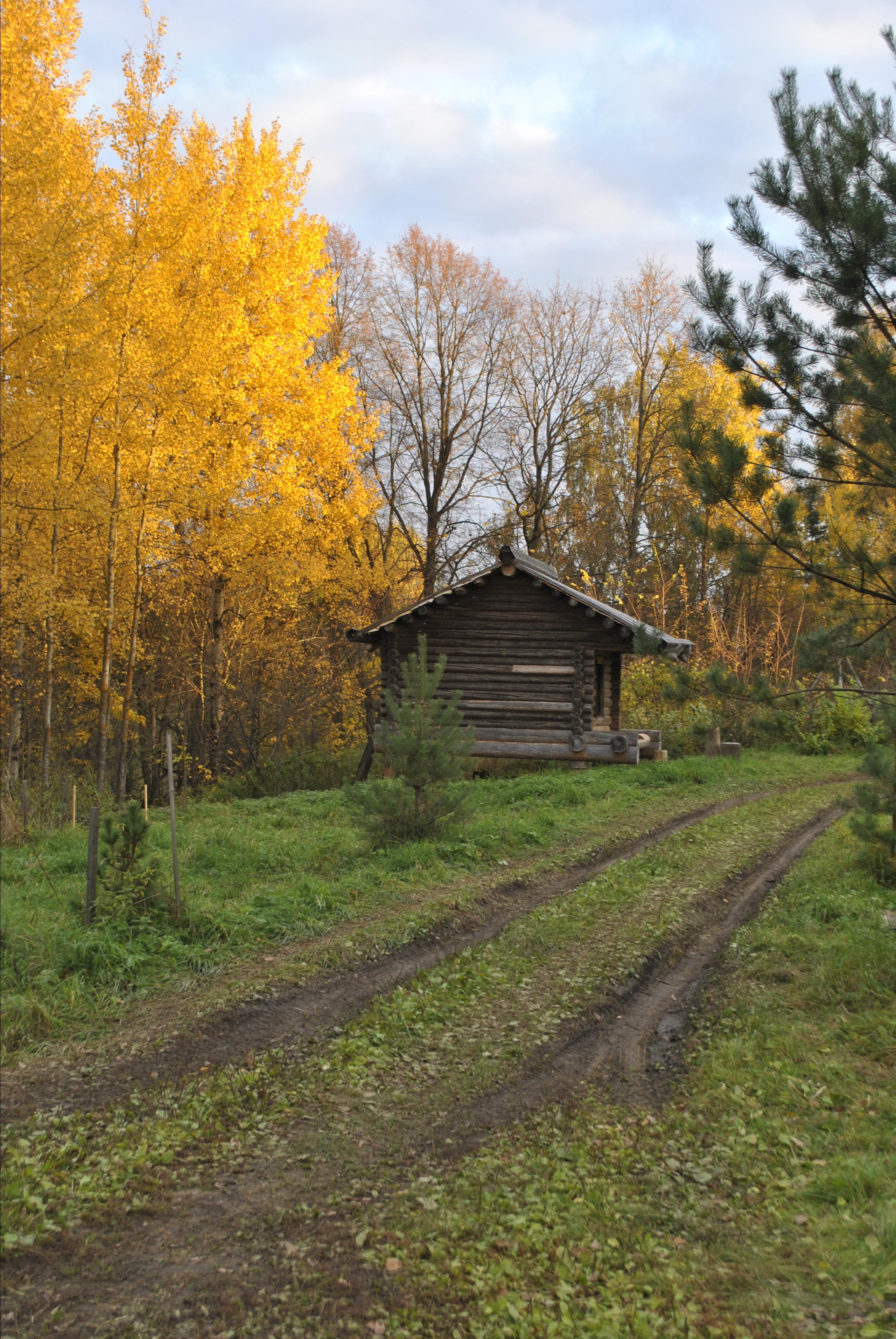 Житник (амбар). Новое Старое — русское деревянное зодчество