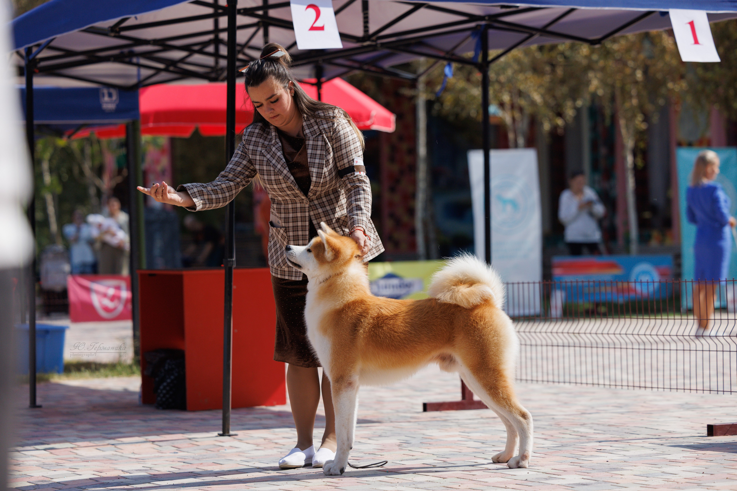 Ташкент 3хCACIB 3-5.10.2025. Фотограф-анималист Юлия Германика