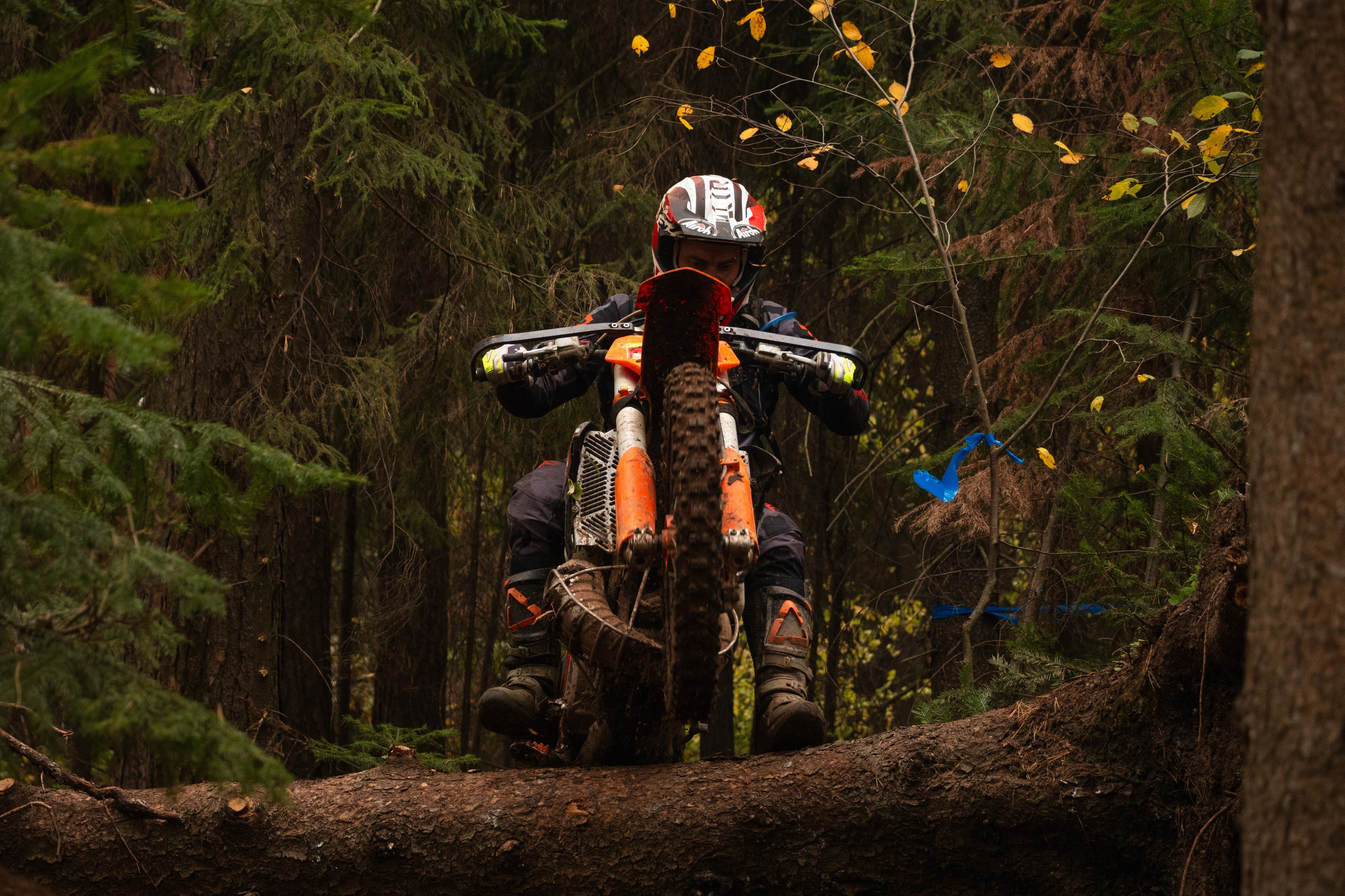 Путь Ижика. 2024. Олег Романов. Мастер фото по спорту