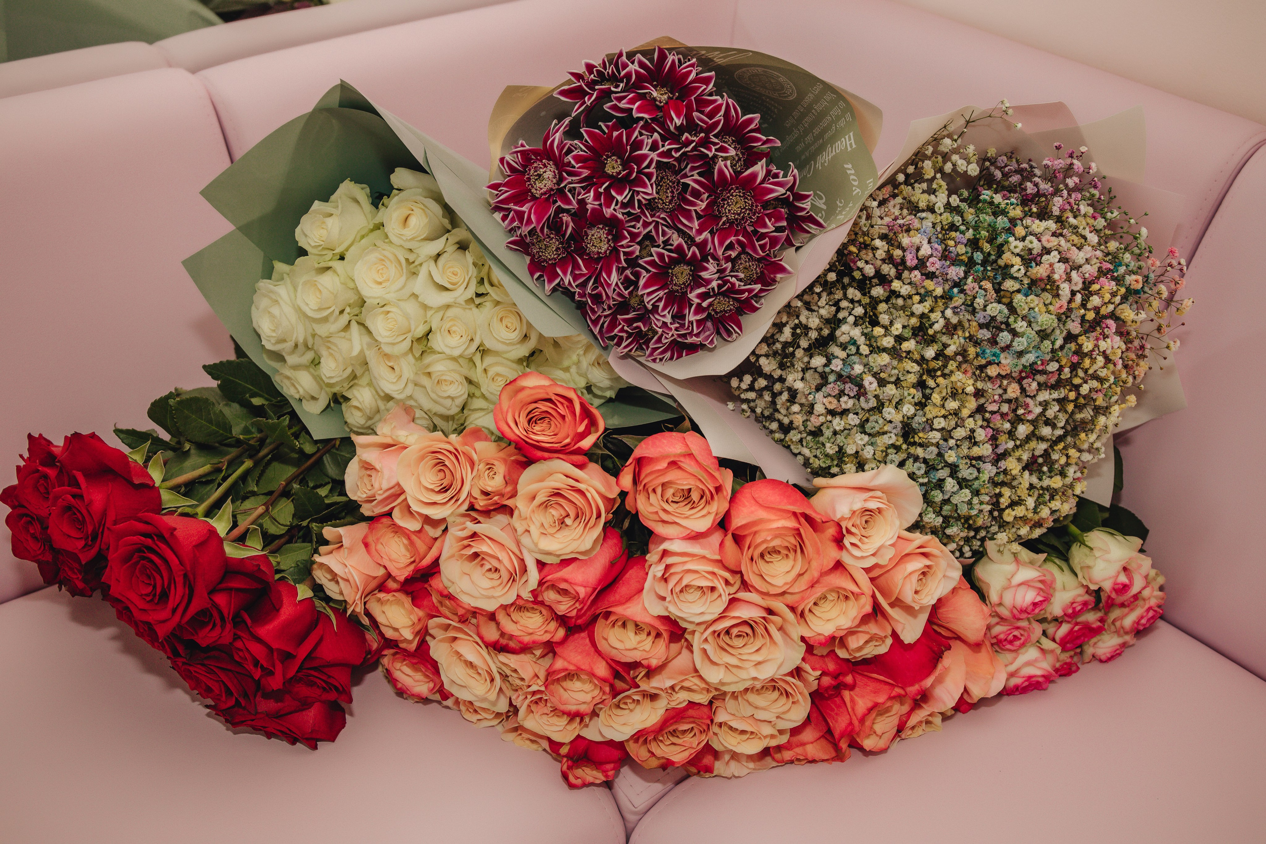 Выписка Даши. Свадебный и семейный фотограф Пушкин Царское Село СПБ Питер Санкт-Петербург и Рязань Ольга Козлова