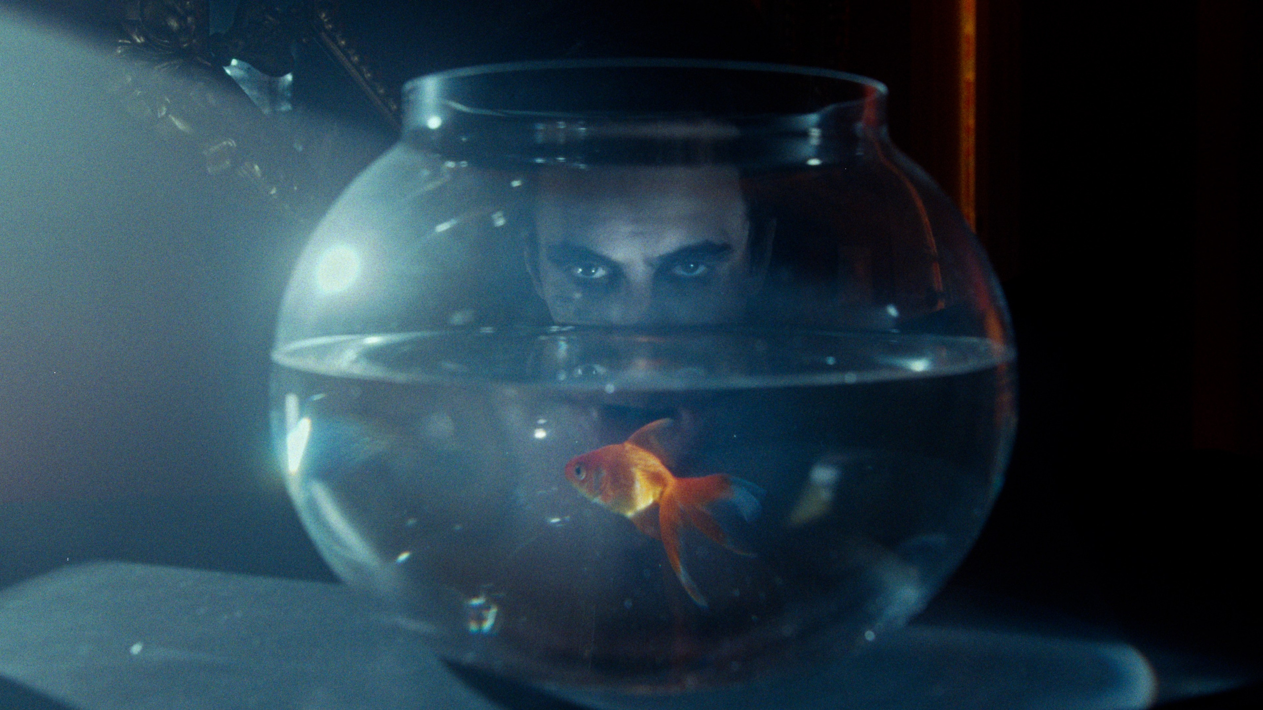 HORIZONTAL. Креативный продюсер и арт-директор в Санкт-Петербурге Марина Кадын