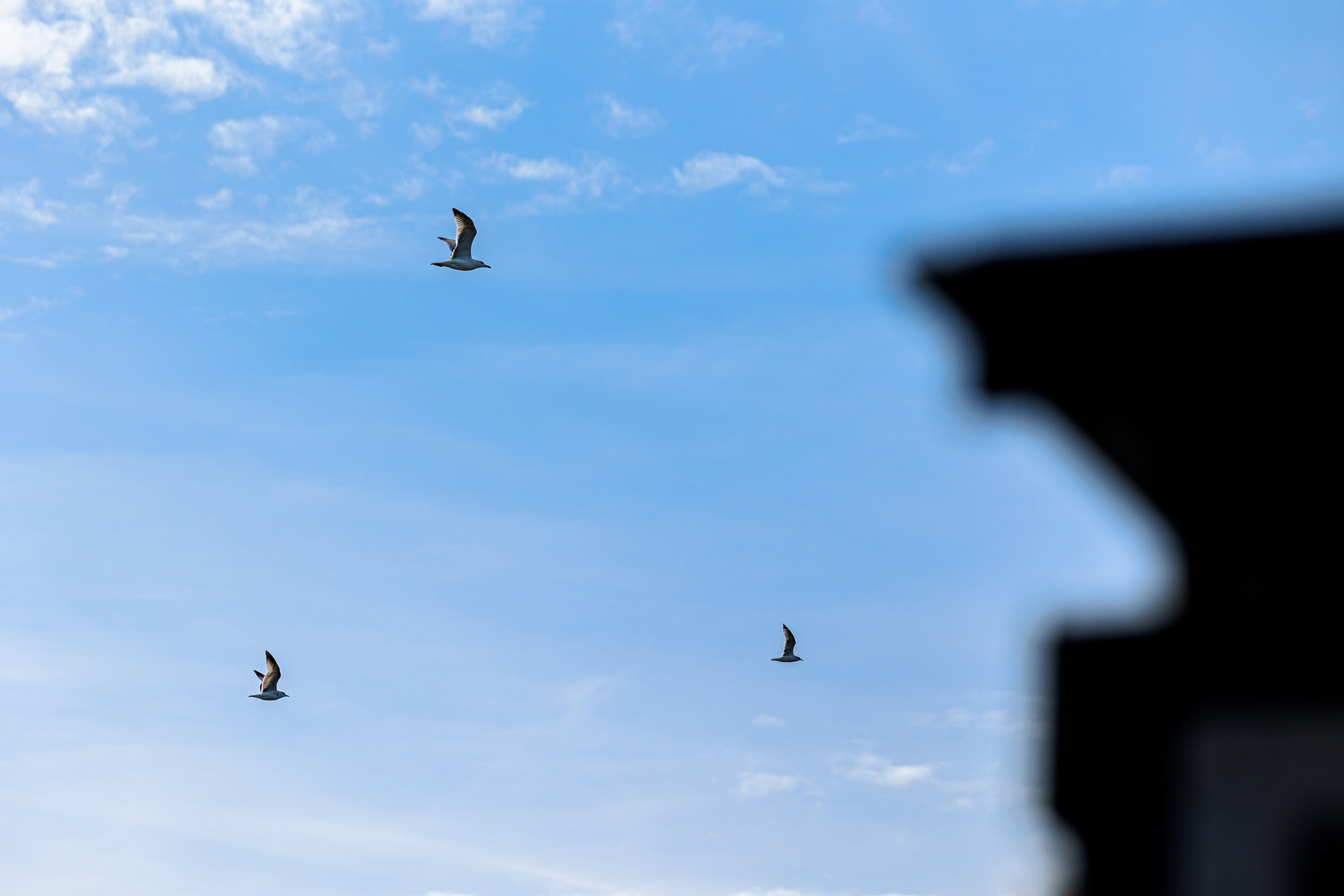 Music Cycle Festival 2025. Репортажный фотограф Семён Борисов | Москва