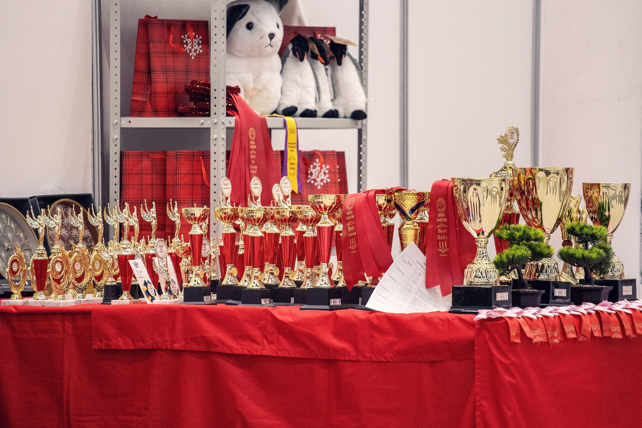 20.01. 2024 Тюмень. YULA KOLESOVA | Фотограф — Анималист | Художник | Тюмень