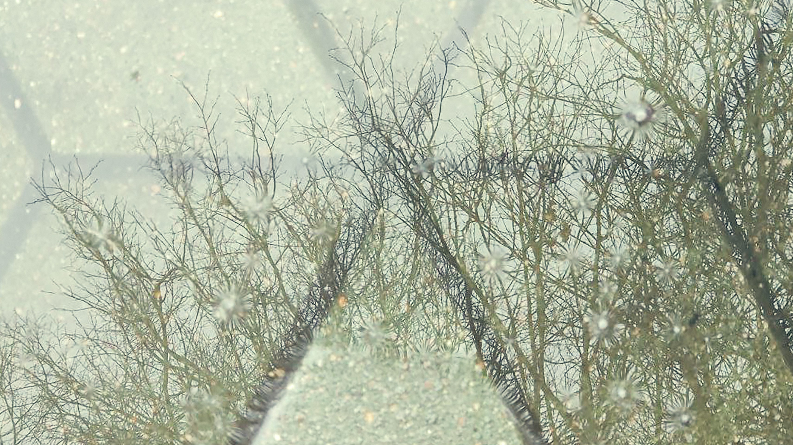 Произведения, созданные автором. Профессиональный фотограф в Минске Валерий Невмержицкий