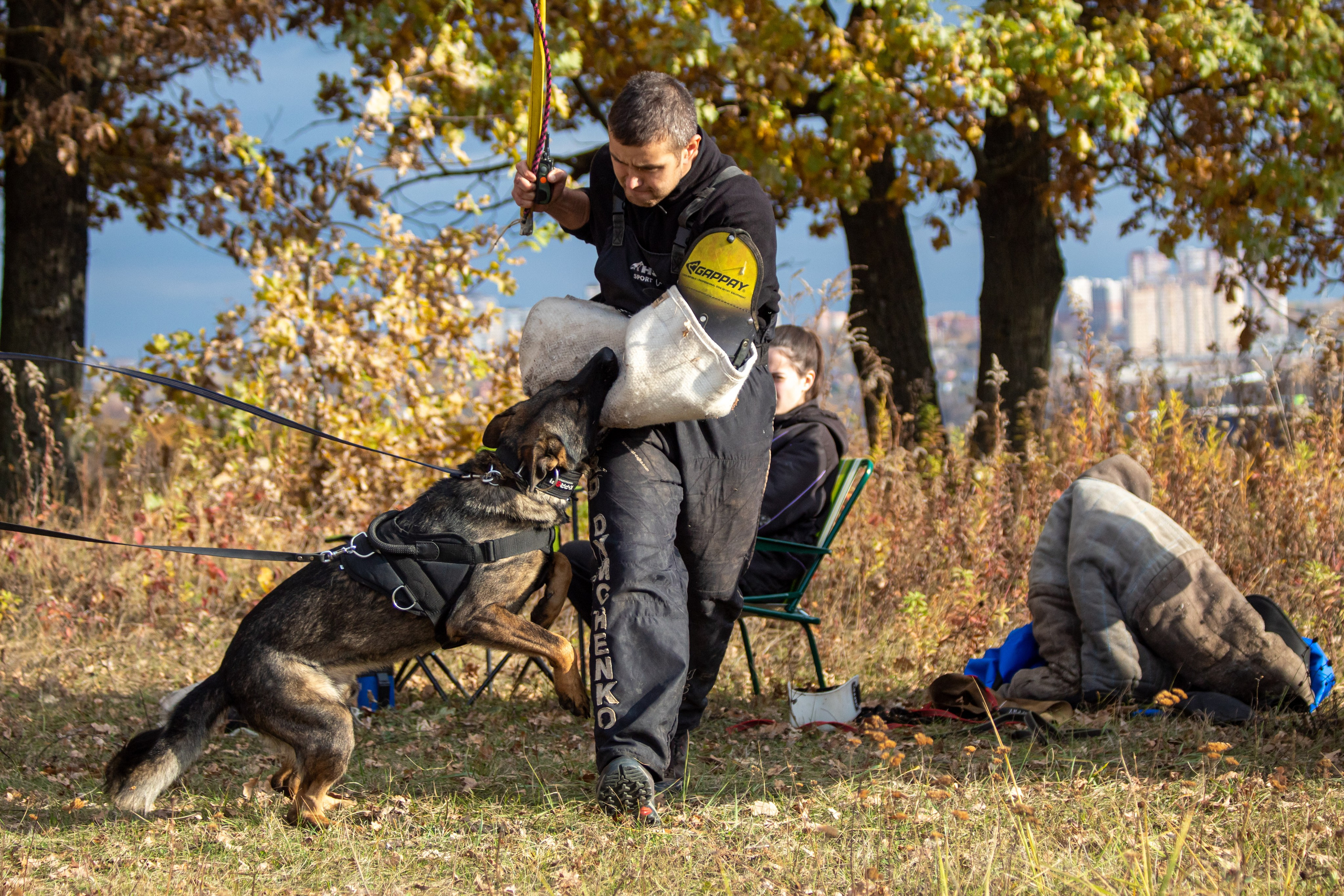 Тренинг защитного раздела. Фотограф анималист — Тула, Москва