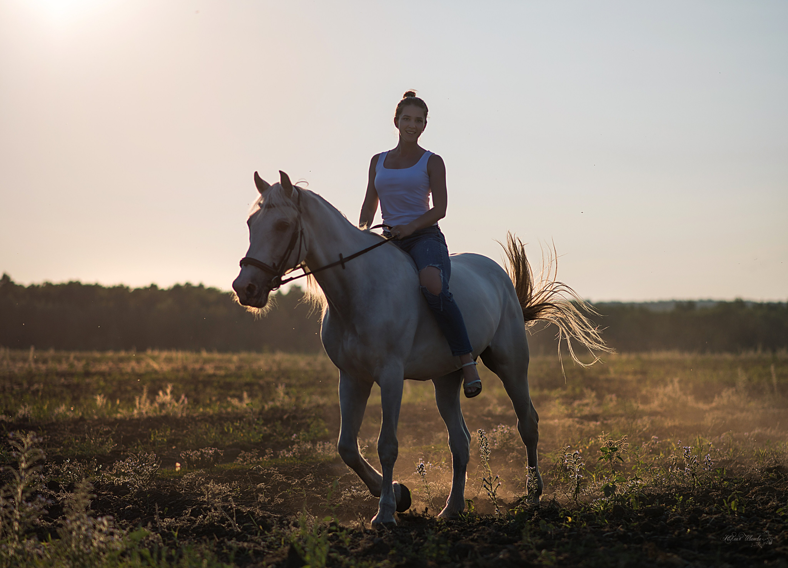 Кристина и Илья, Каспиец и Багрец. Конный фотограф в Саратове Юлия Иванова